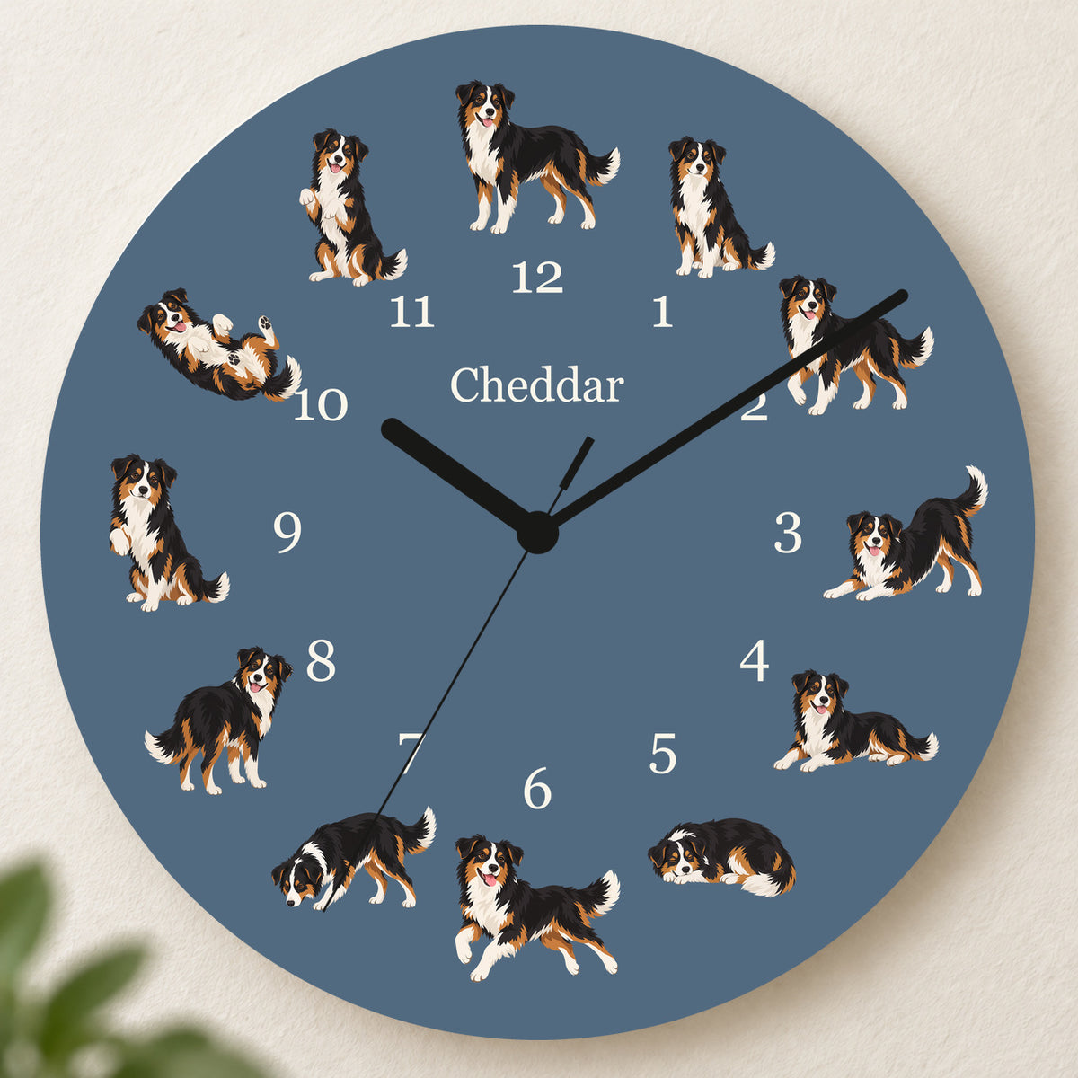 Personalized Miniature American Shepherd Wall Clock, Custom Pet Name, 11.6 Inch Wooden Clock — Muted Denim background
