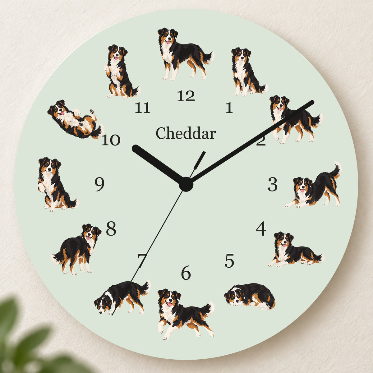 Personalized Miniature American Shepherd Wall Clock, Custom Pet Name, 11.6 Inch Wooden Clock — Pale Sage background