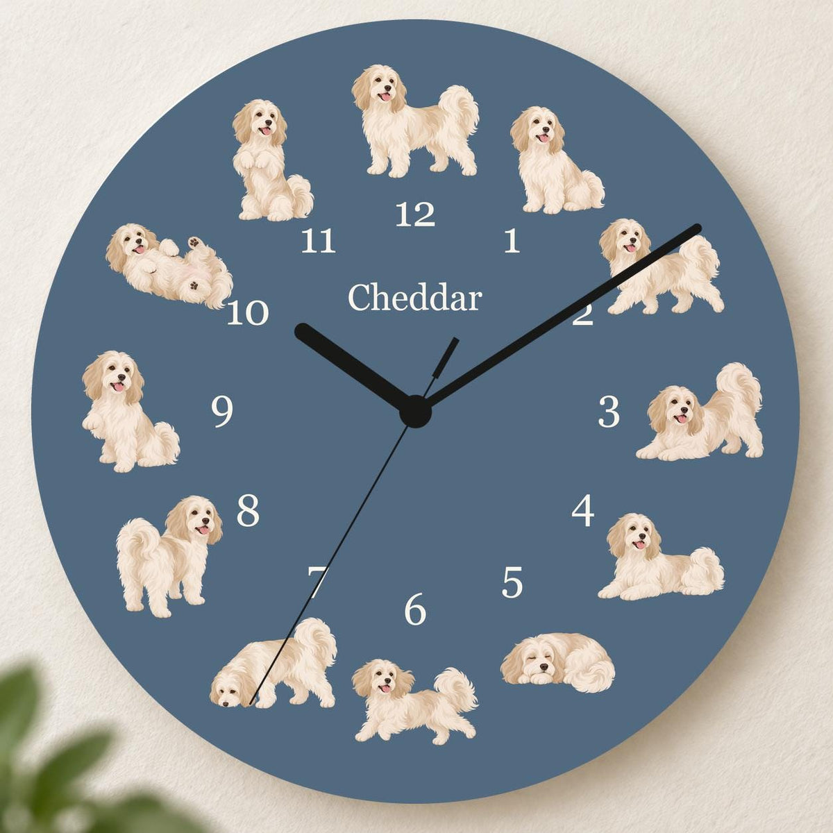 Personalized Havanese wooden wall clock with example name Cheddar; hero