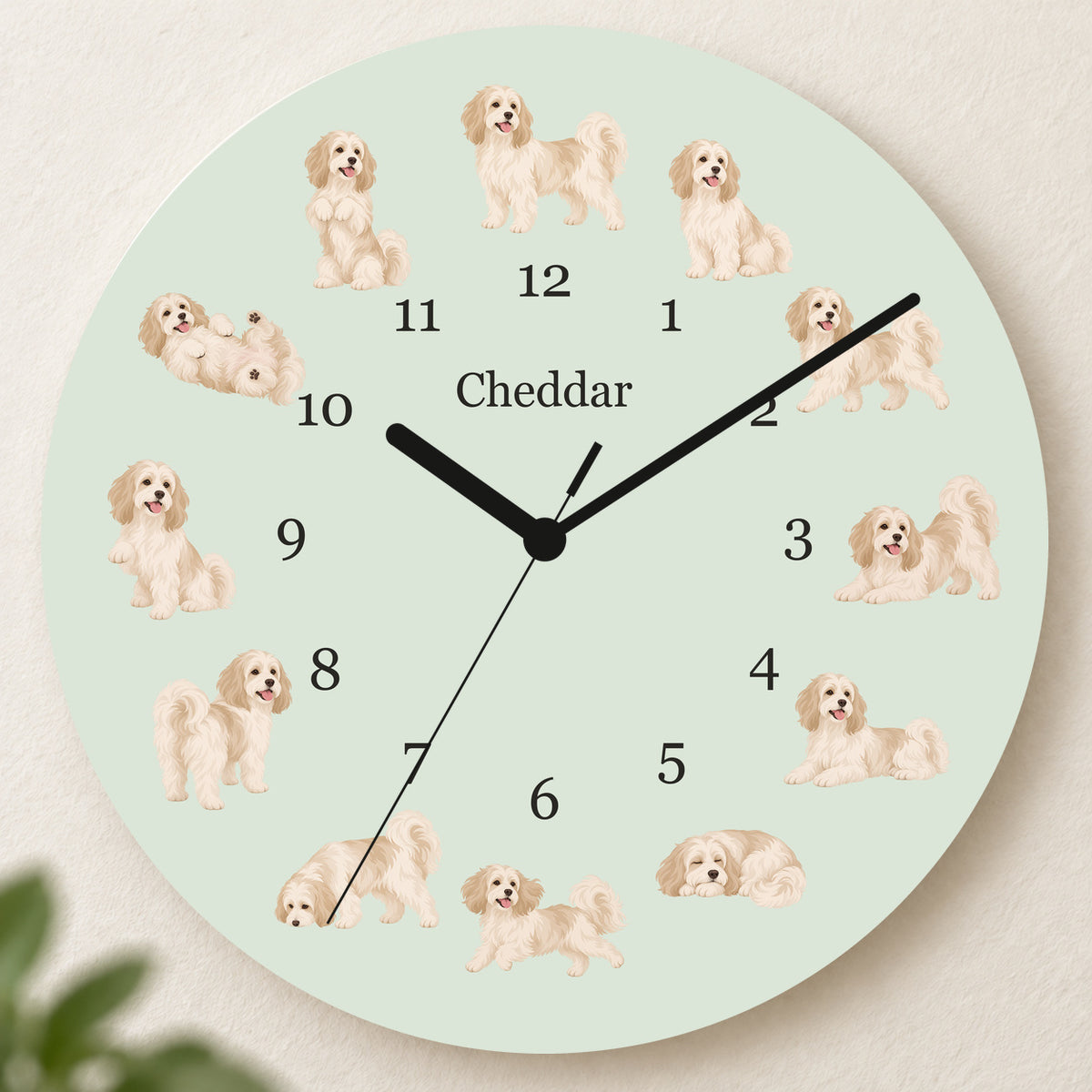 Personalized Havanese Wall Clock, Custom Pet Name, 11.6 Inch Wooden Clock — Pale Sage background