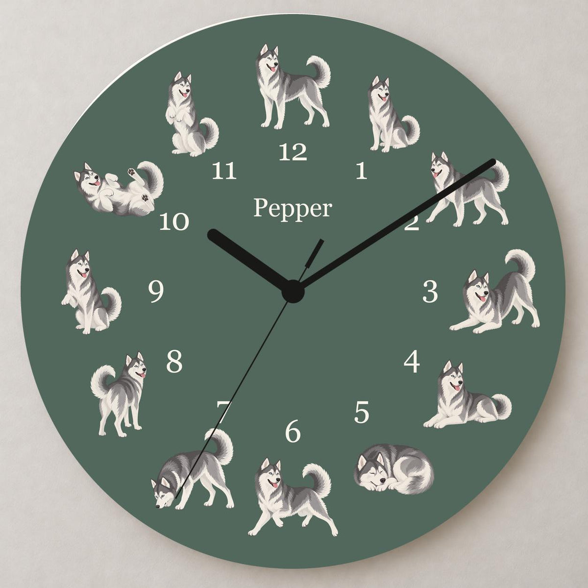 Personalized Siberian Husky wooden wall clock with example name Pepper; close up