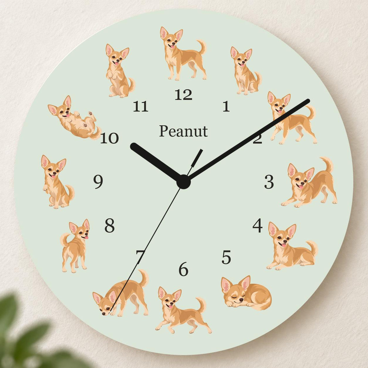 Personalized Chihuahua wooden wall clock with example name Peanut; hero