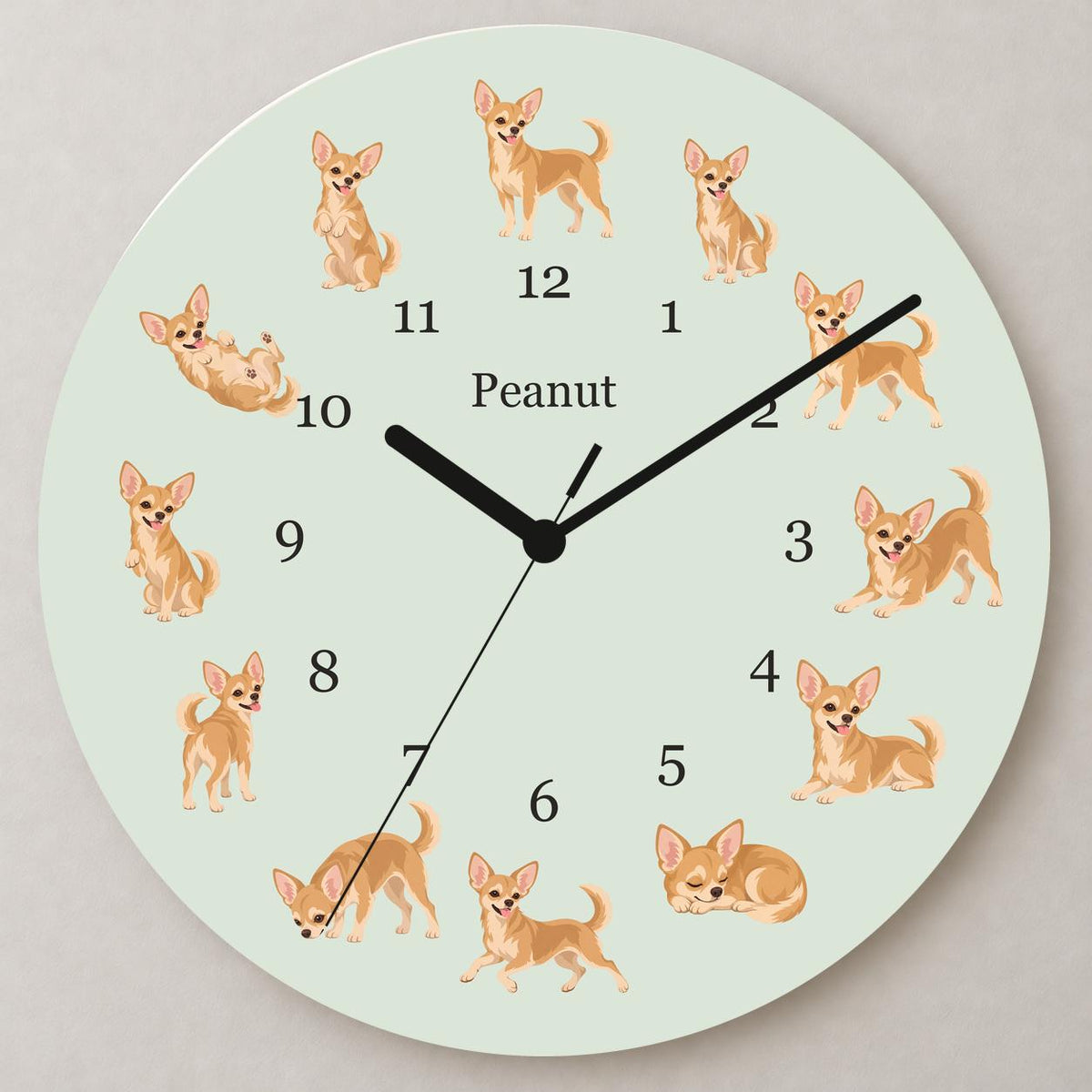 Personalized Chihuahua wooden wall clock with example name Peanut; close up