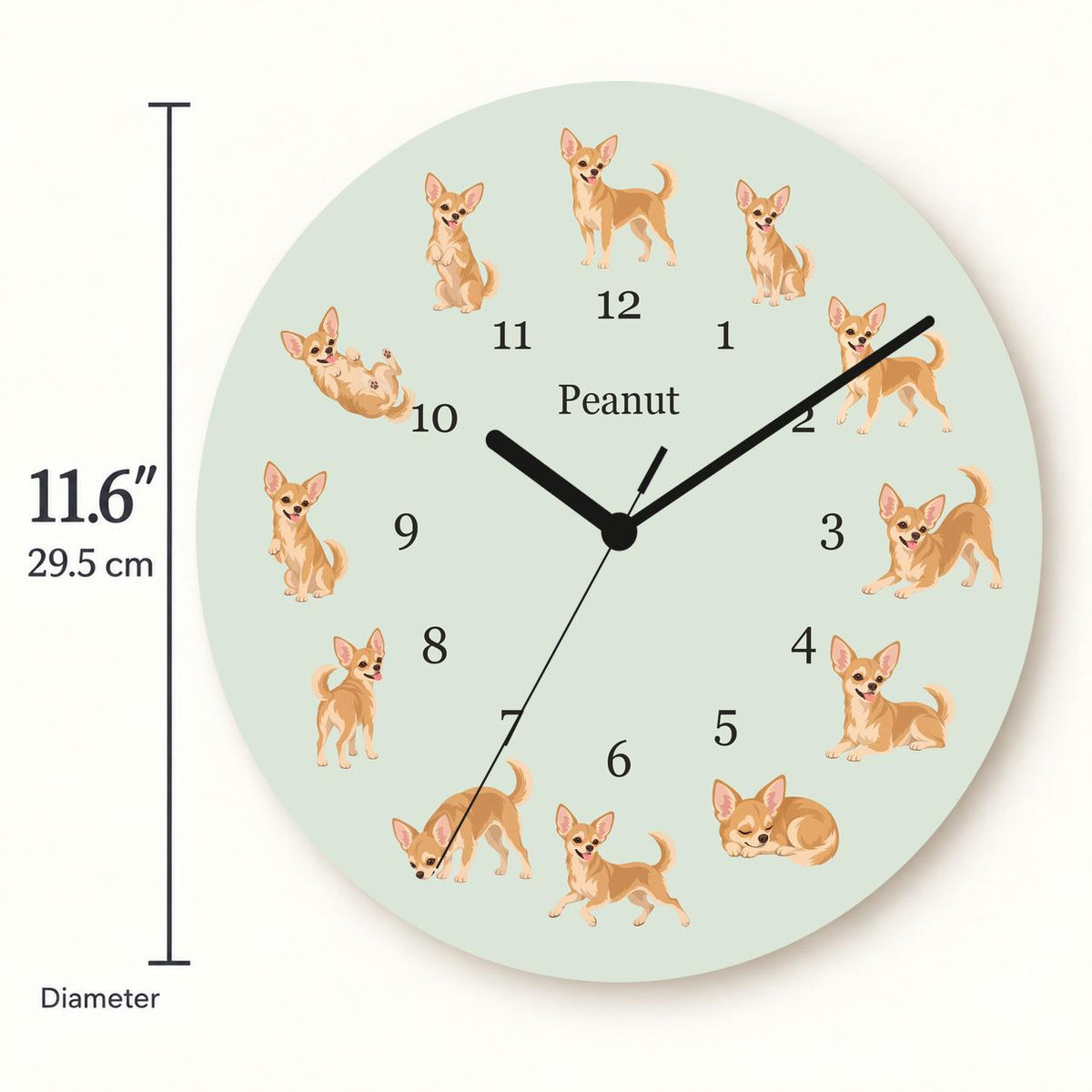 Personalized Chihuahua wooden wall clock with example name Peanut; size