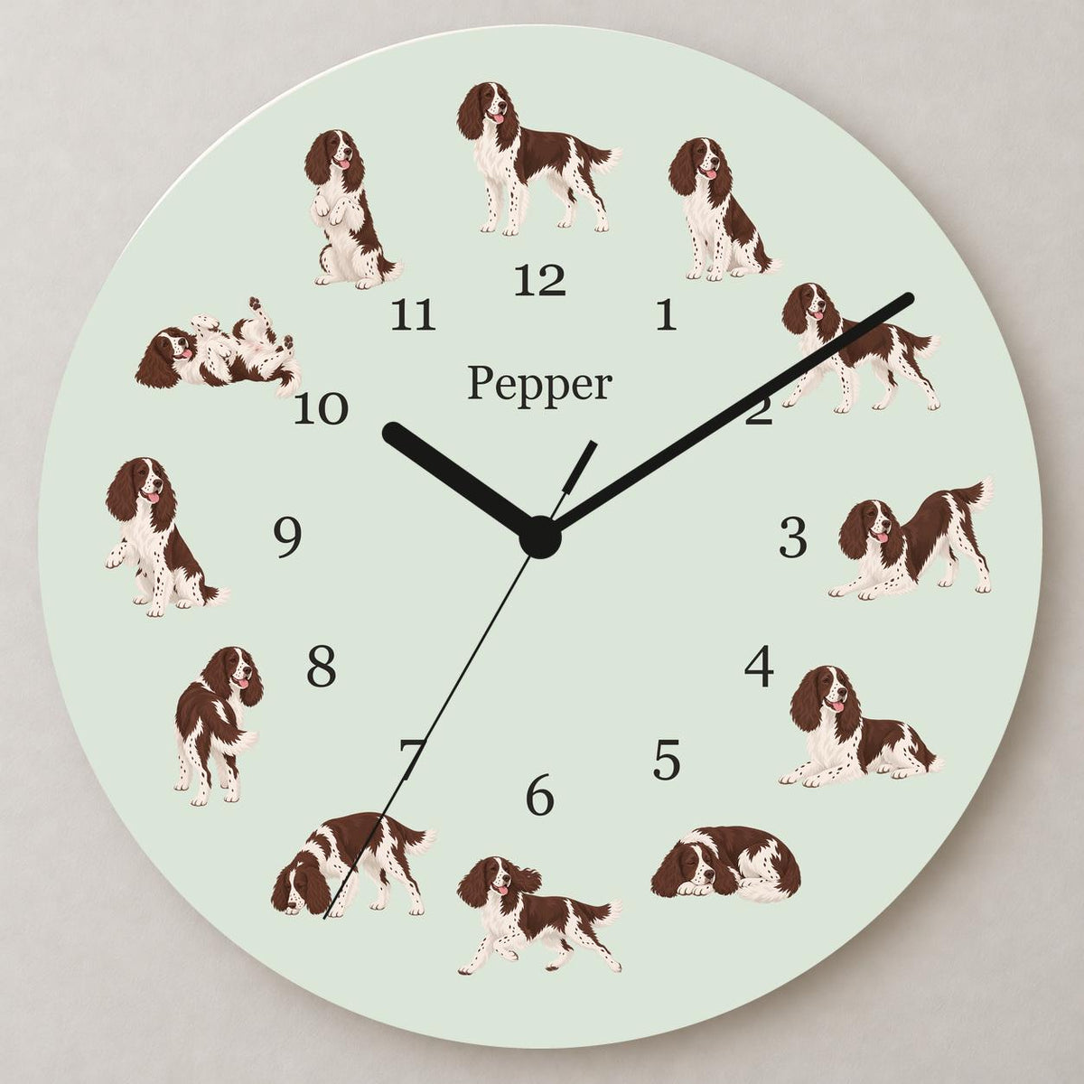 Personalized English Springer Spaniel wooden wall clock with example name Pepper; close up