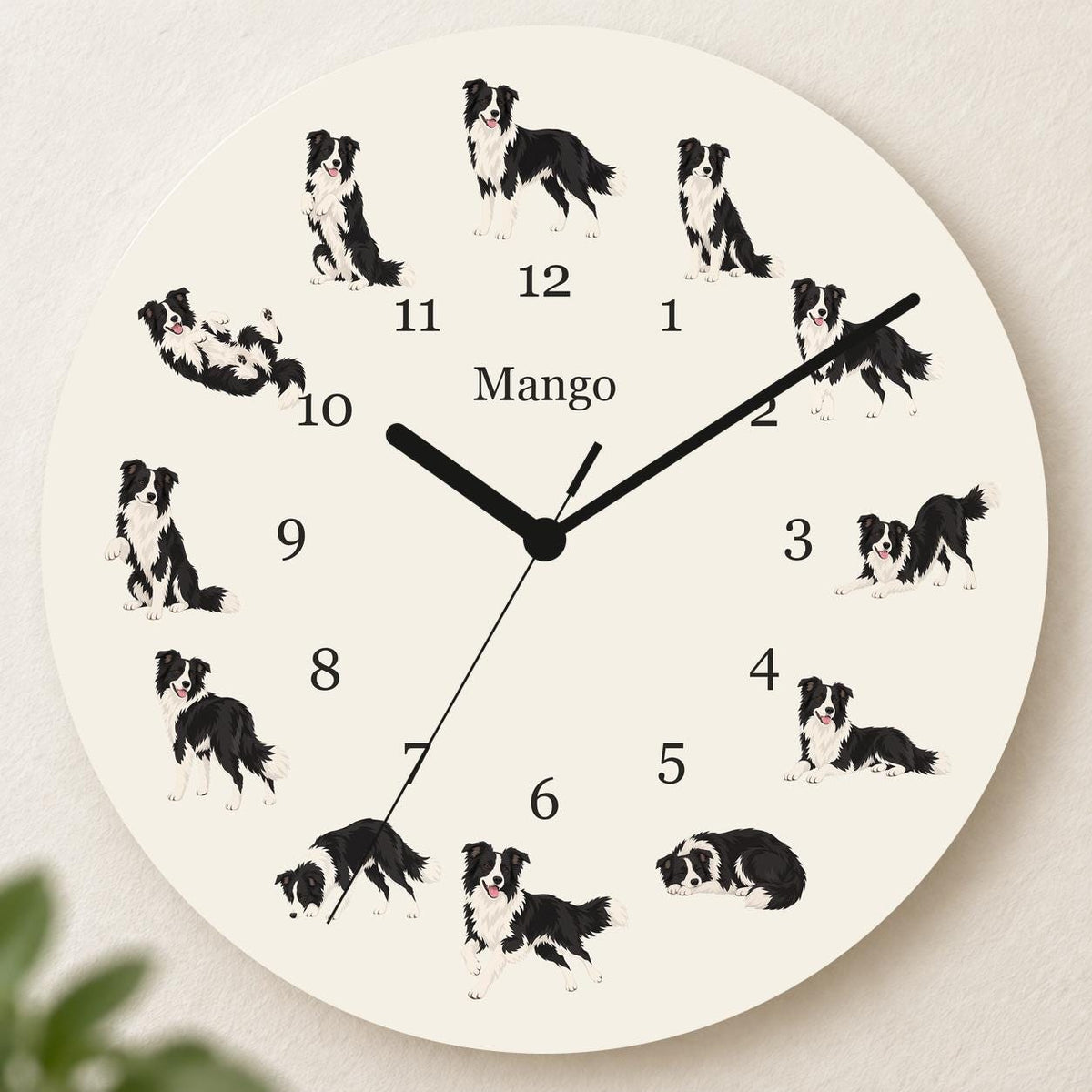 Personalized Border Collie wooden wall clock with example name Mango; hero