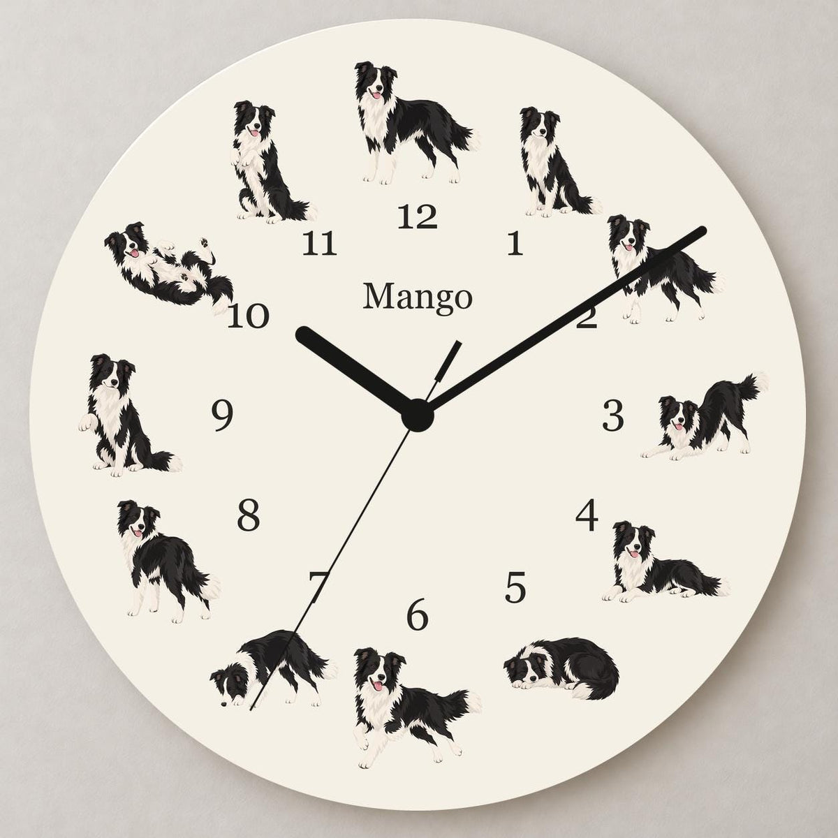 Personalized Border Collie wooden wall clock with example name Mango; close up