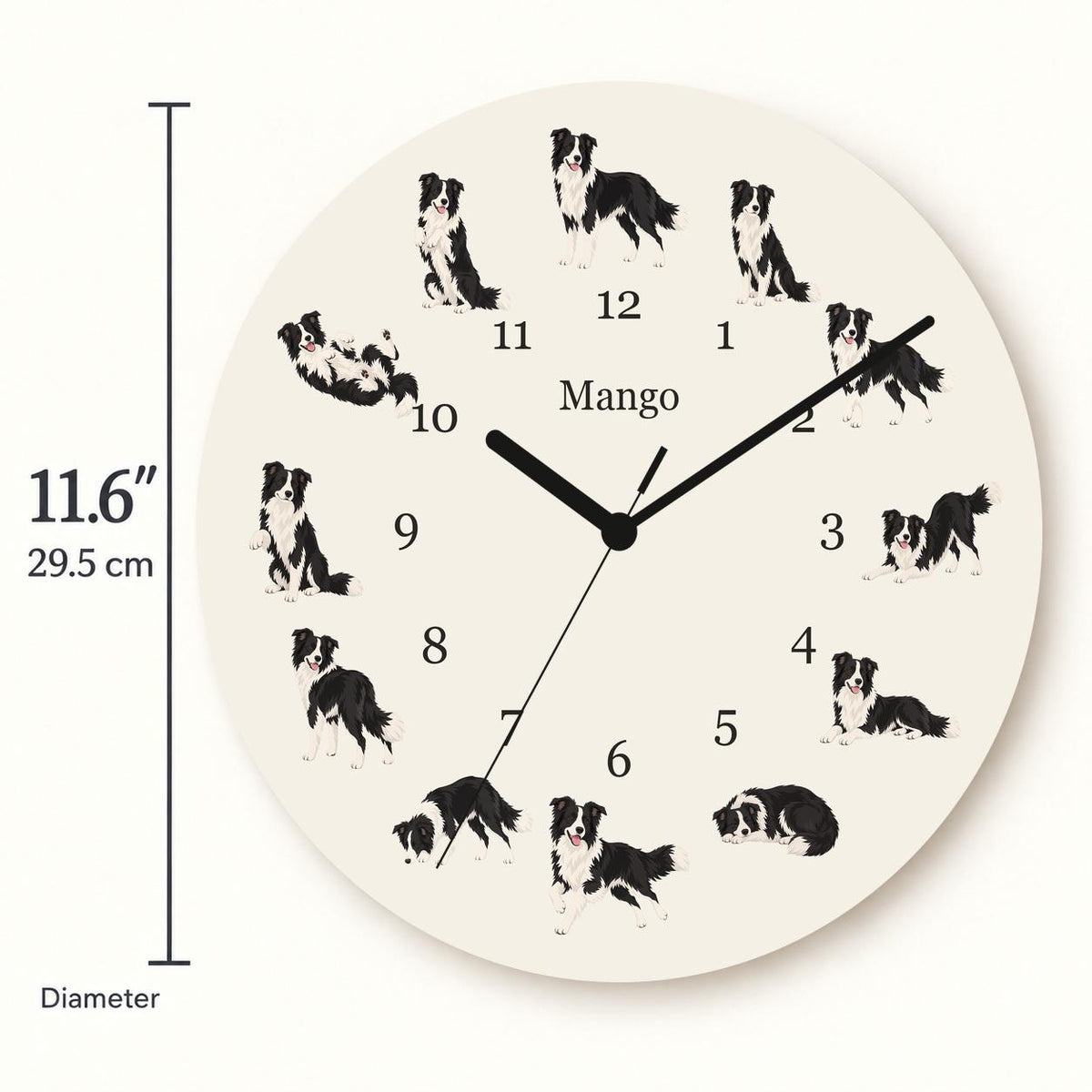 Personalized Border Collie wooden wall clock with example name Mango; size