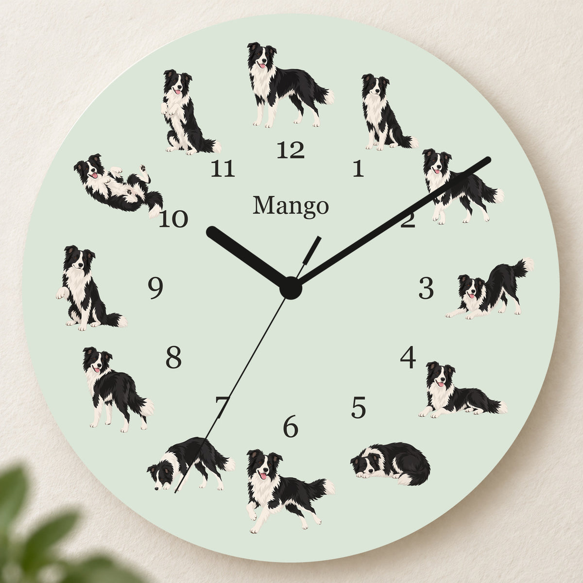 Personalized Border Collie Wall Clock, Custom Pet Name, 11.6 Inch Wooden Clock — Pale Sage background