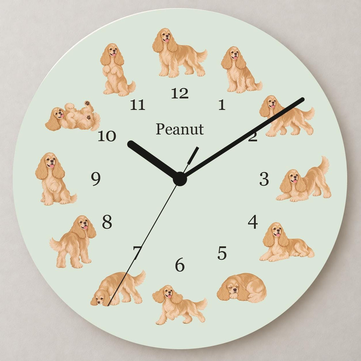 Personalized Cocker Spaniel wooden wall clock with example name Peanut; close up