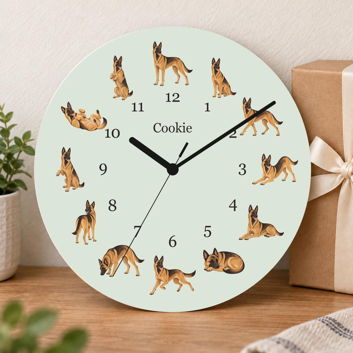 Personalized Belgian Malinois wooden wall clock with example name Cookie; gift
