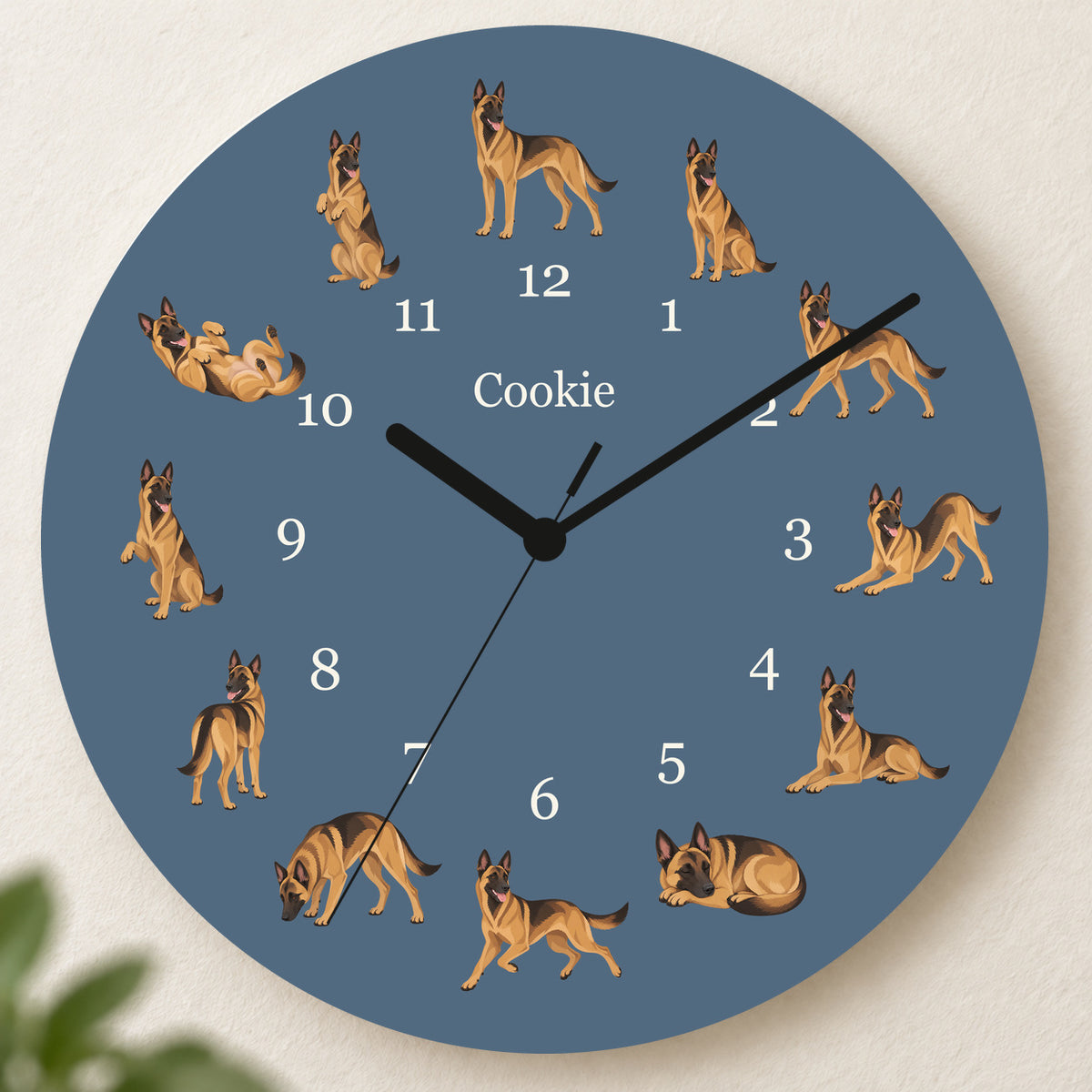 Personalized Belgian Malinois Wall Clock, Custom Pet Name, 11.6 Inch Wooden Clock — Muted Denim background