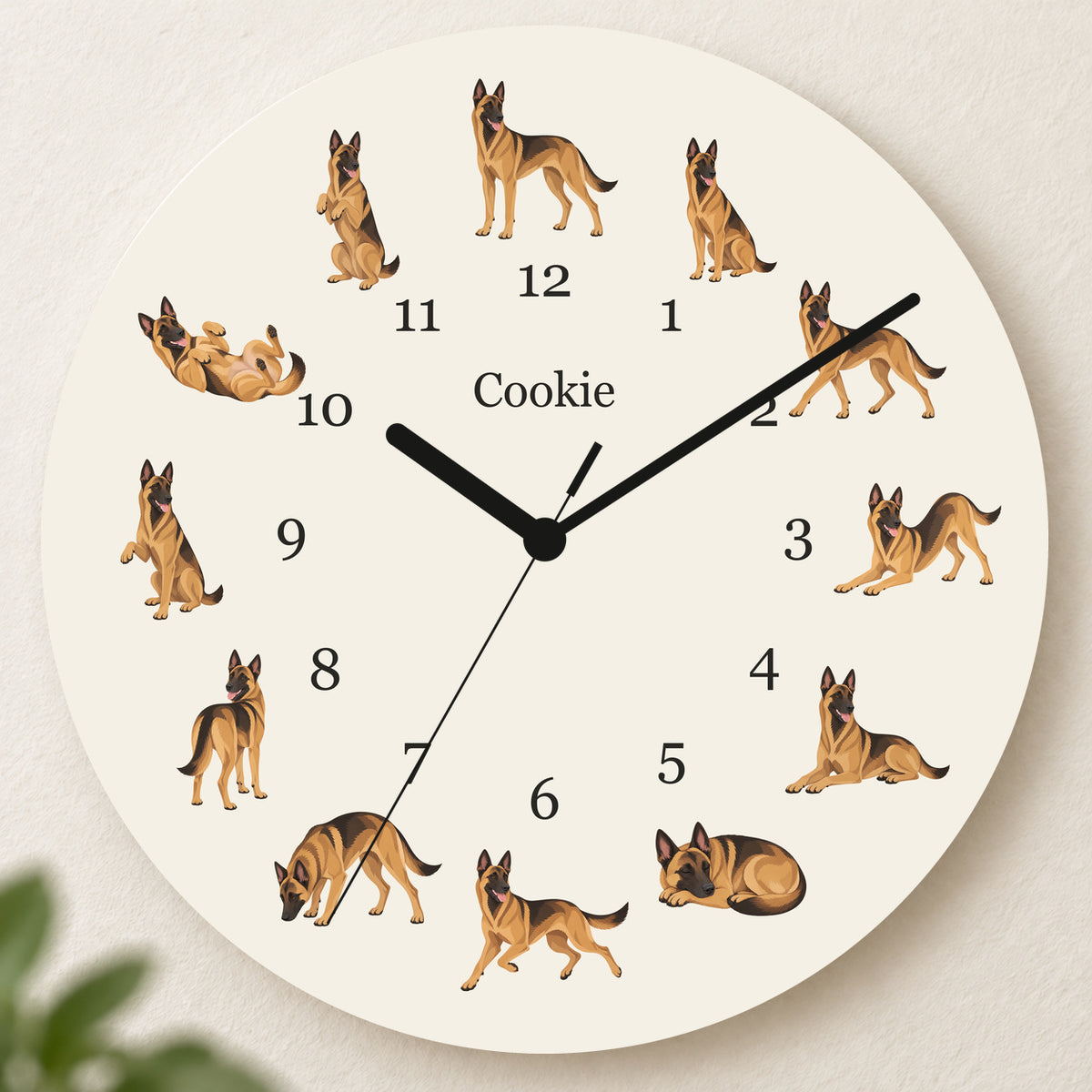 Personalized Belgian Malinois Wall Clock, Custom Pet Name, 11.6 Inch Wooden Clock — Warm Ivory background
