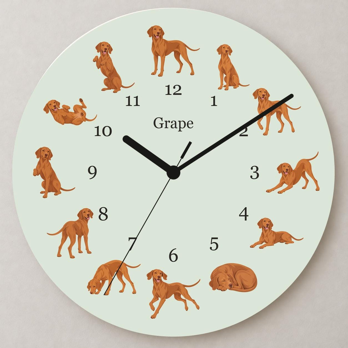 Personalized Vizsla wooden wall clock with example name Grape; close up