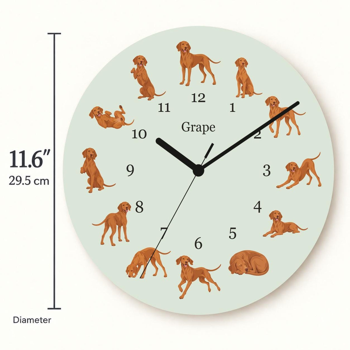Personalized Vizsla wooden wall clock with example name Grape; size