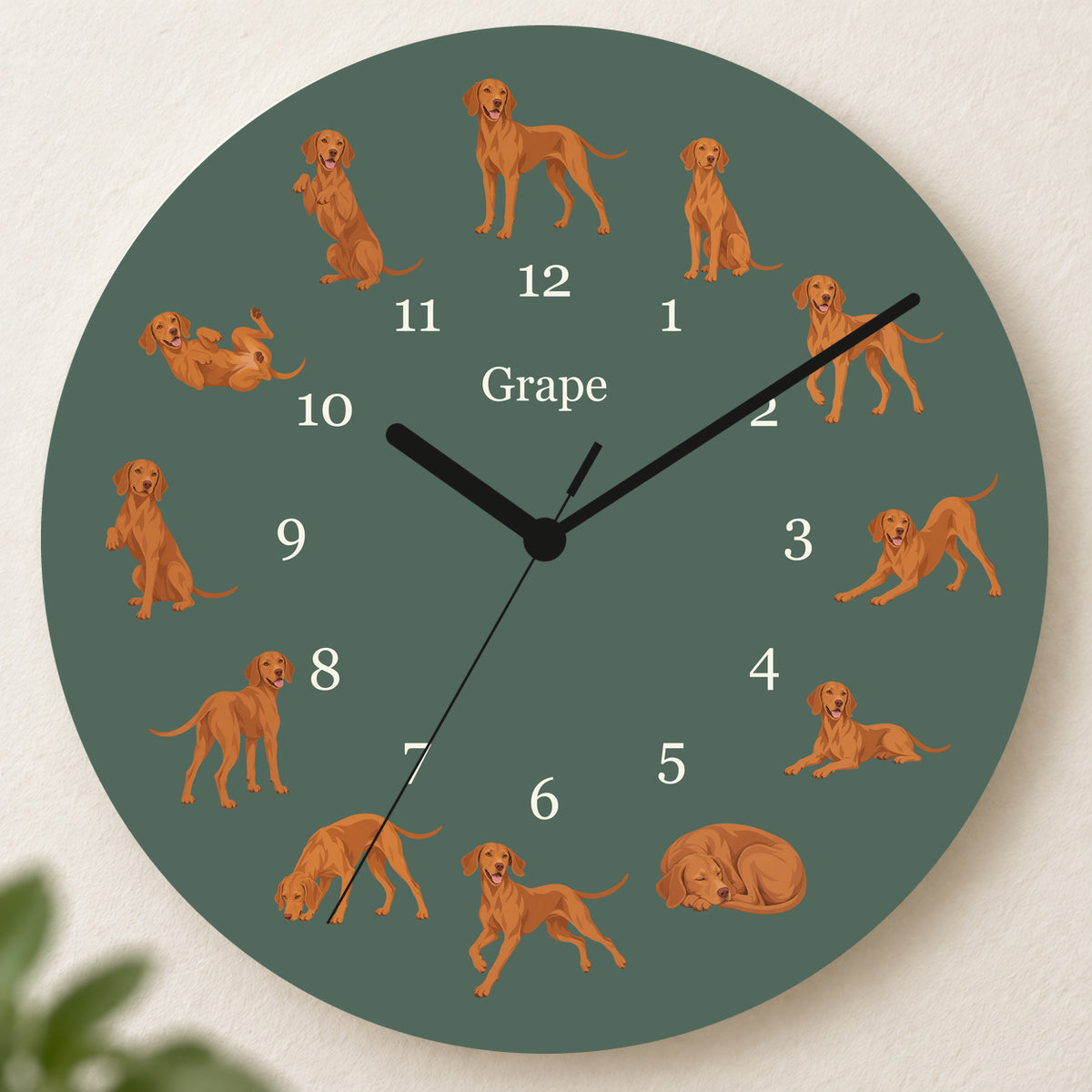 Personalized Vizsla Wall Clock, Custom Pet Name, 11.6 Inch Wooden Clock — Deep Sage background