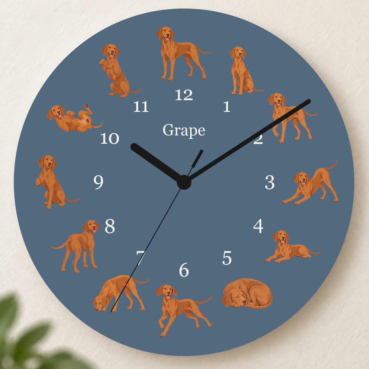 Personalized Vizsla Wall Clock, Custom Pet Name, 11.6 Inch Wooden Clock — Muted Denim background