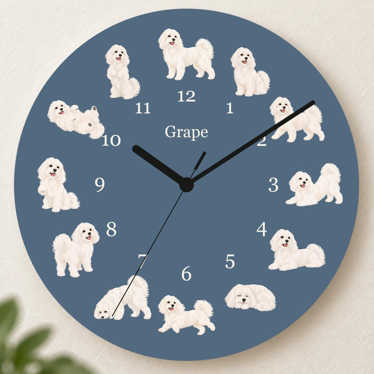 Personalized Maltese wooden wall clock with example name Grape; hero