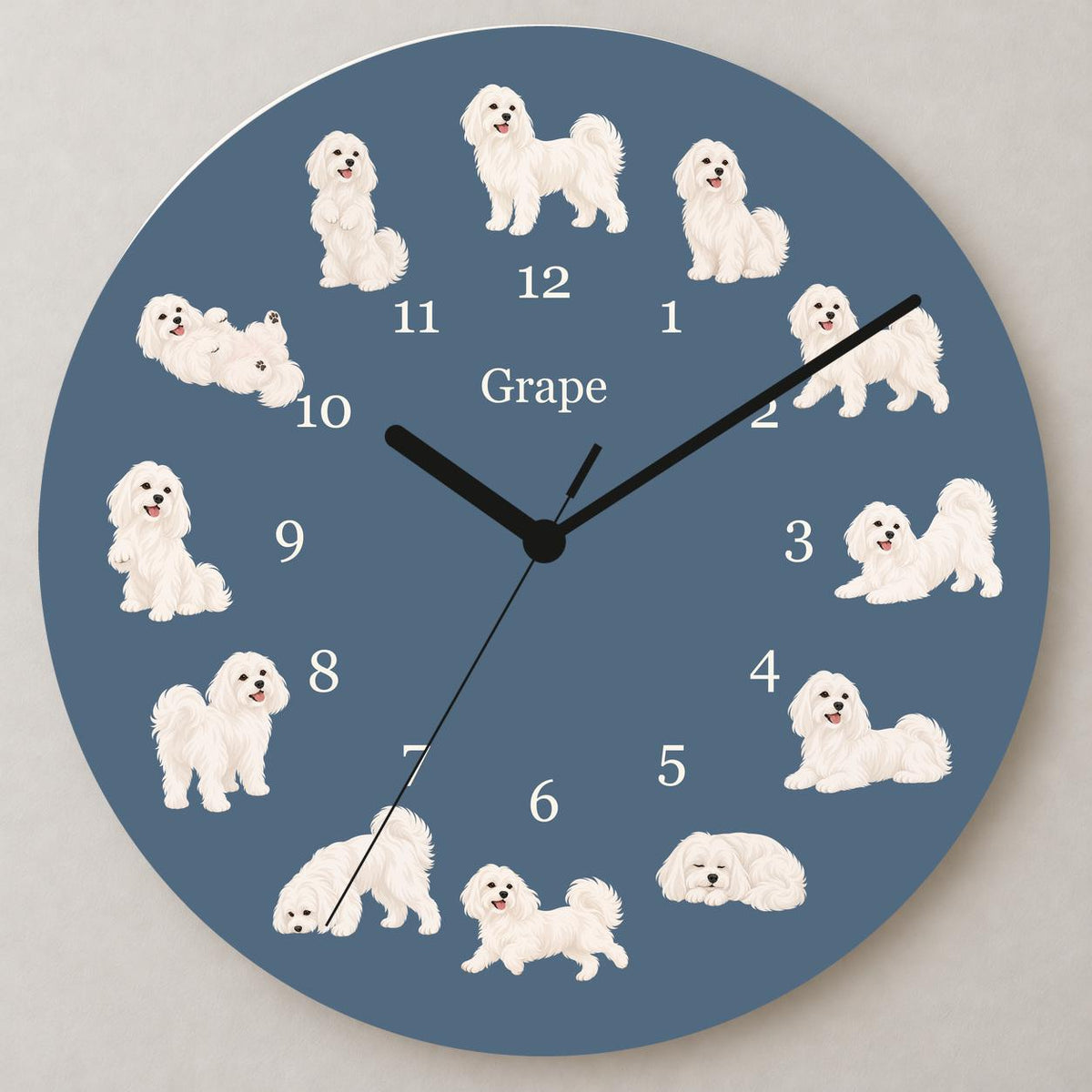 Personalized Maltese wooden wall clock with example name Grape; close up
