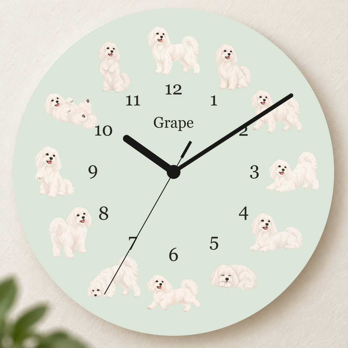Personalized Maltese Wall Clock, Custom Pet Name, 11.6 Inch Wooden Clock — Pale Sage background