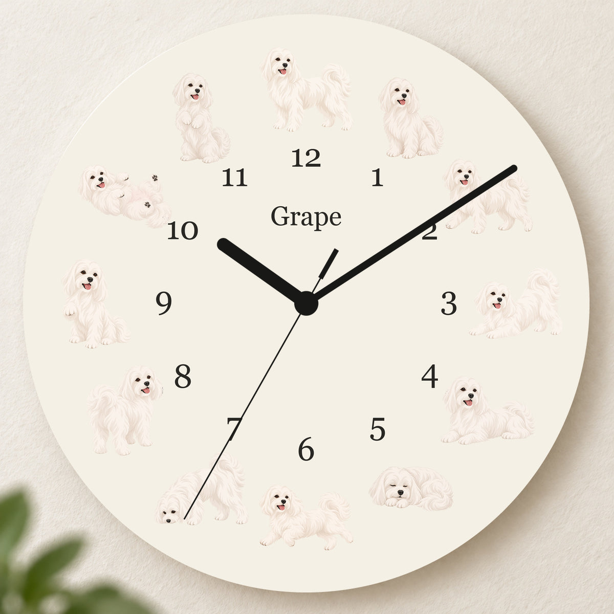 Personalized Maltese Wall Clock, Custom Pet Name, 11.6 Inch Wooden Clock — Warm Ivory background
