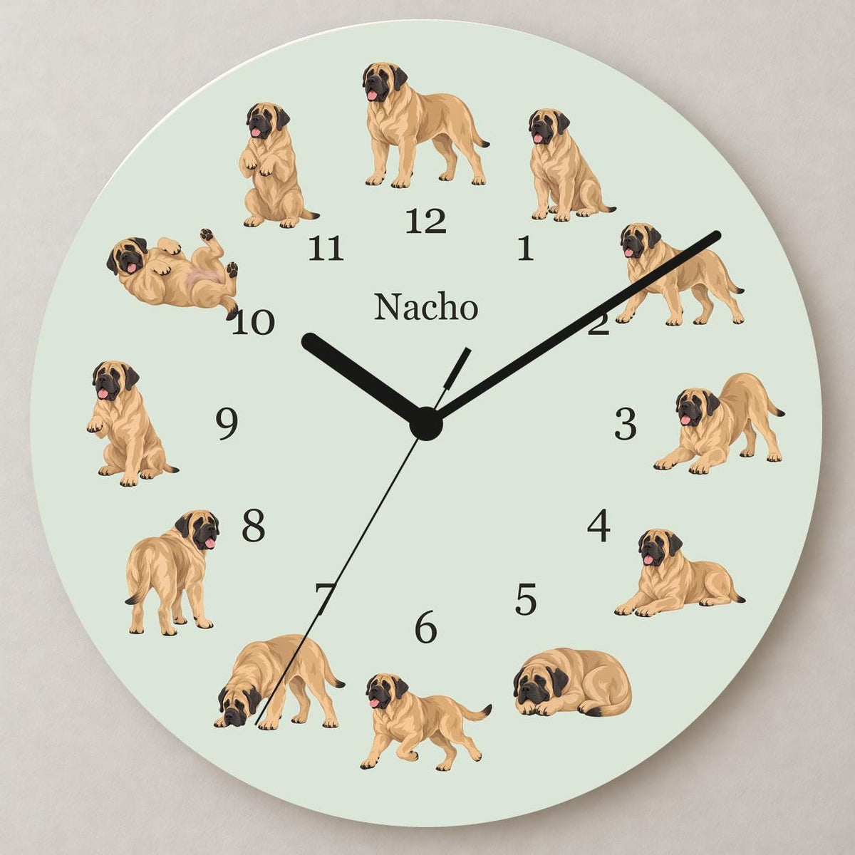 Personalized Mastiff wooden wall clock with example name Nacho; close up