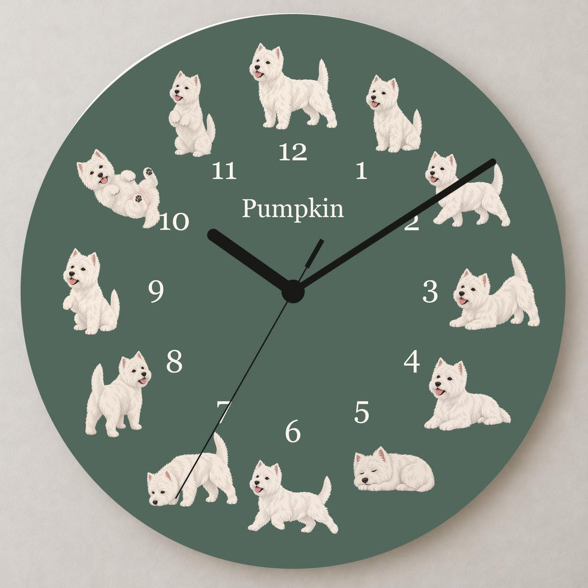 Personalized West Highland White Terrier wooden wall clock with example name Pumpkin; close up