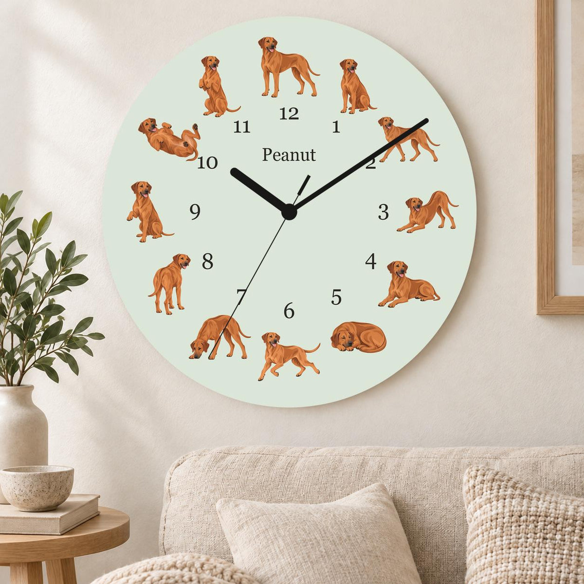 Personalized Rhodesian Ridgeback wooden wall clock with example name Peanut; living room