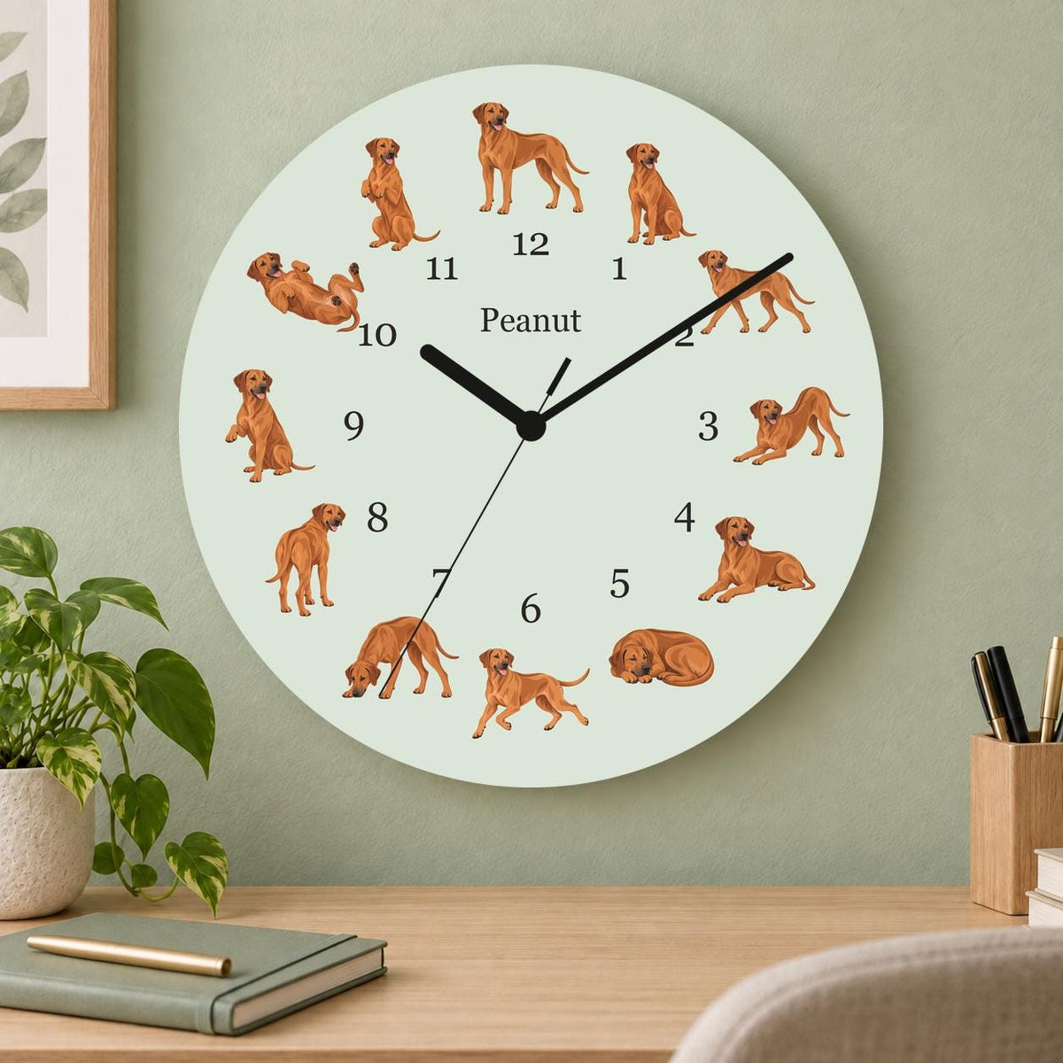 Personalized Rhodesian Ridgeback wooden wall clock with example name Peanut; home office