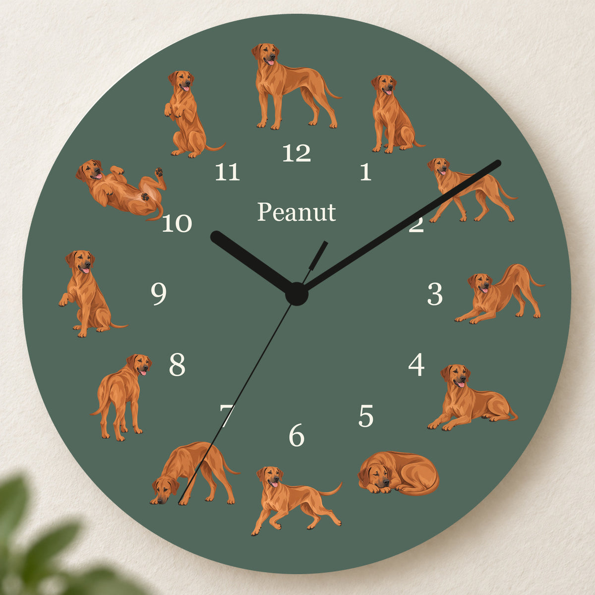 Personalized Rhodesian Ridgeback Wall Clock, Custom Pet Name, 11.6 Inch Wooden Clock — Deep Sage background