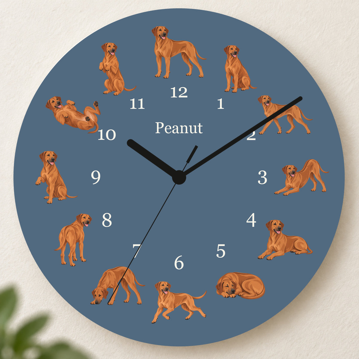 Personalized Rhodesian Ridgeback Wall Clock, Custom Pet Name, 11.6 Inch Wooden Clock — Muted Denim background