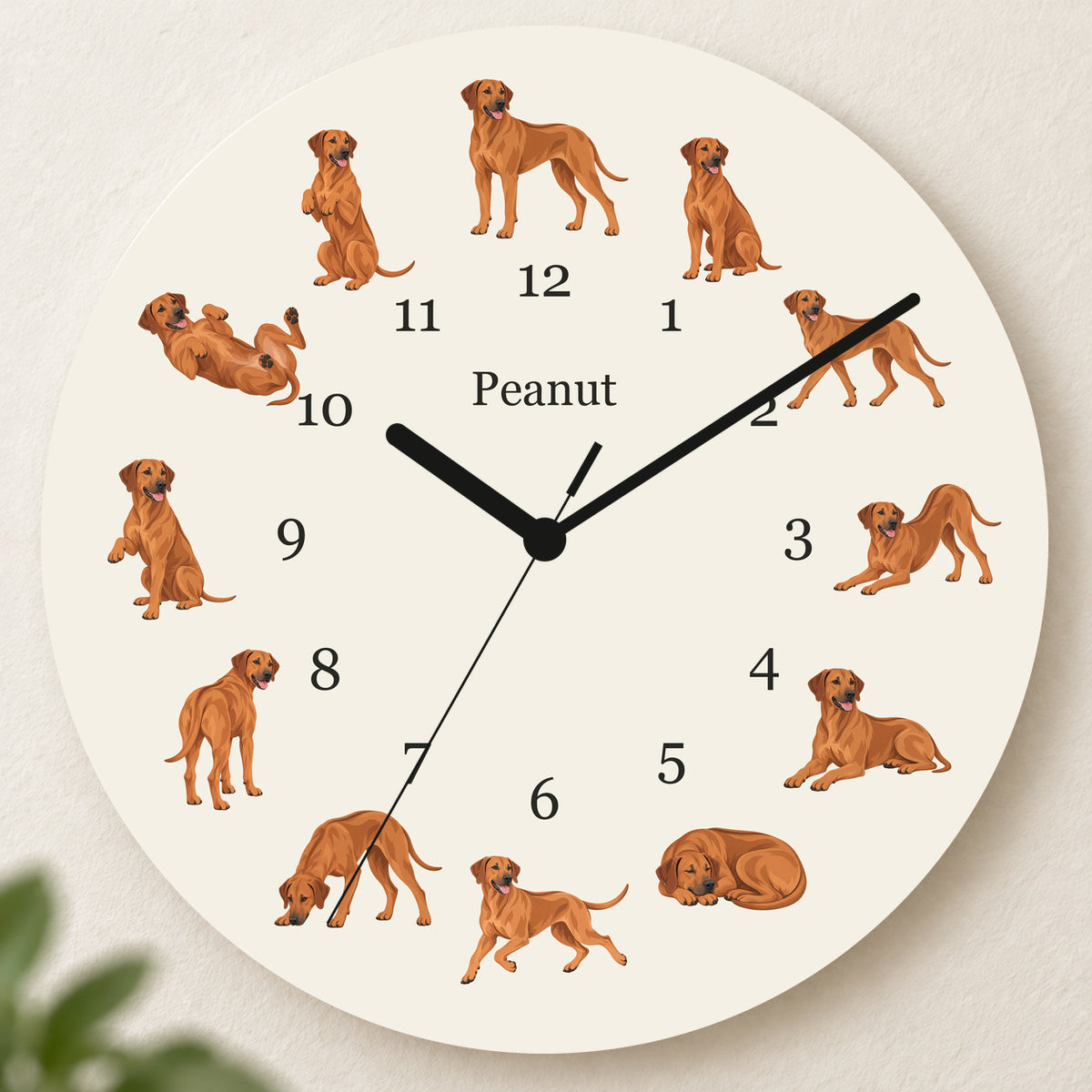 Personalized Rhodesian Ridgeback Wall Clock, Custom Pet Name, 11.6 Inch Wooden Clock — Warm Ivory background