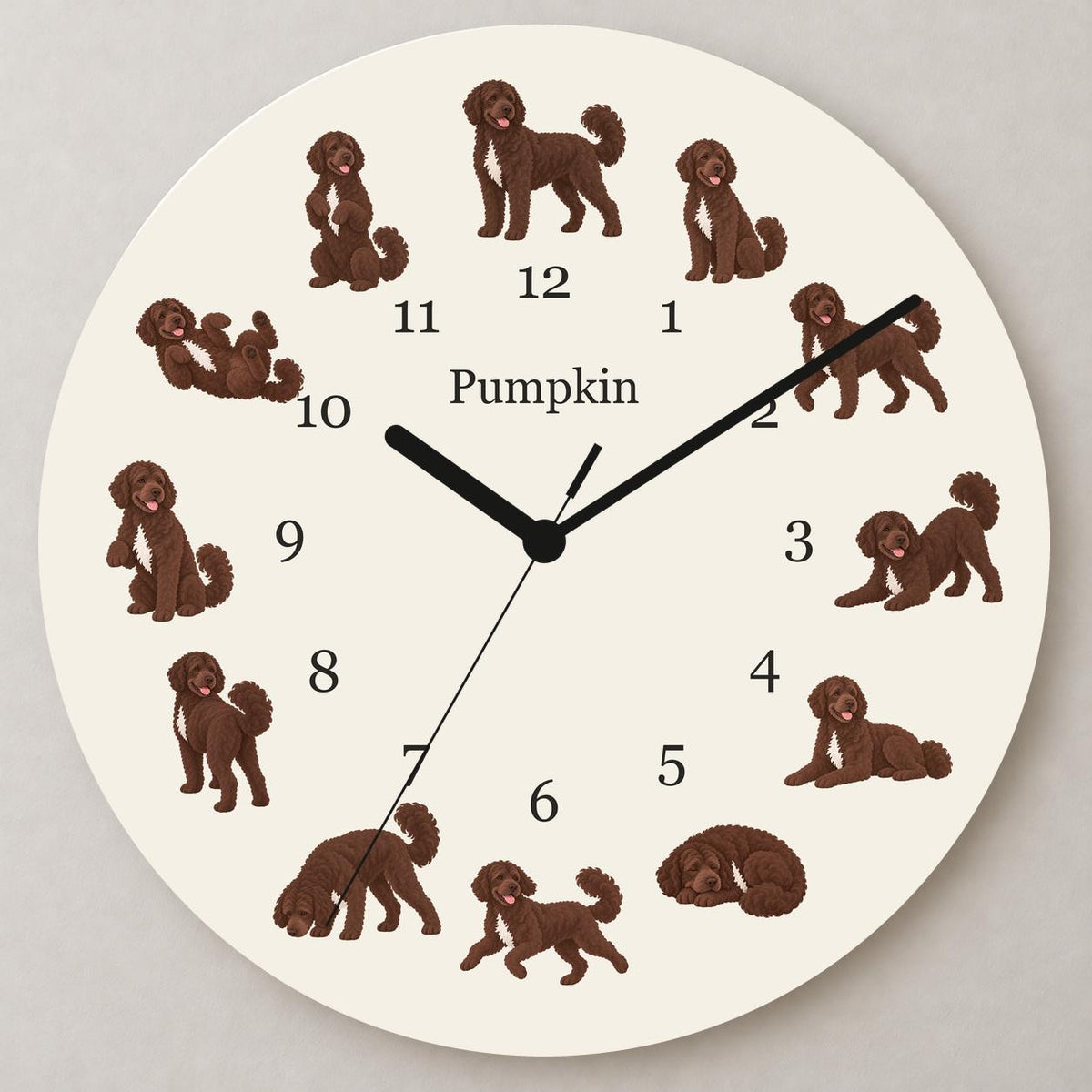 Personalized Portuguese Water Dog wooden wall clock with example name Pumpkin; close up