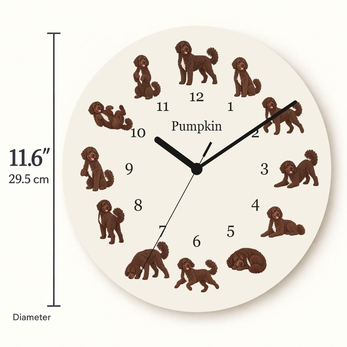 Personalized Portuguese Water Dog wooden wall clock with example name Pumpkin; size
