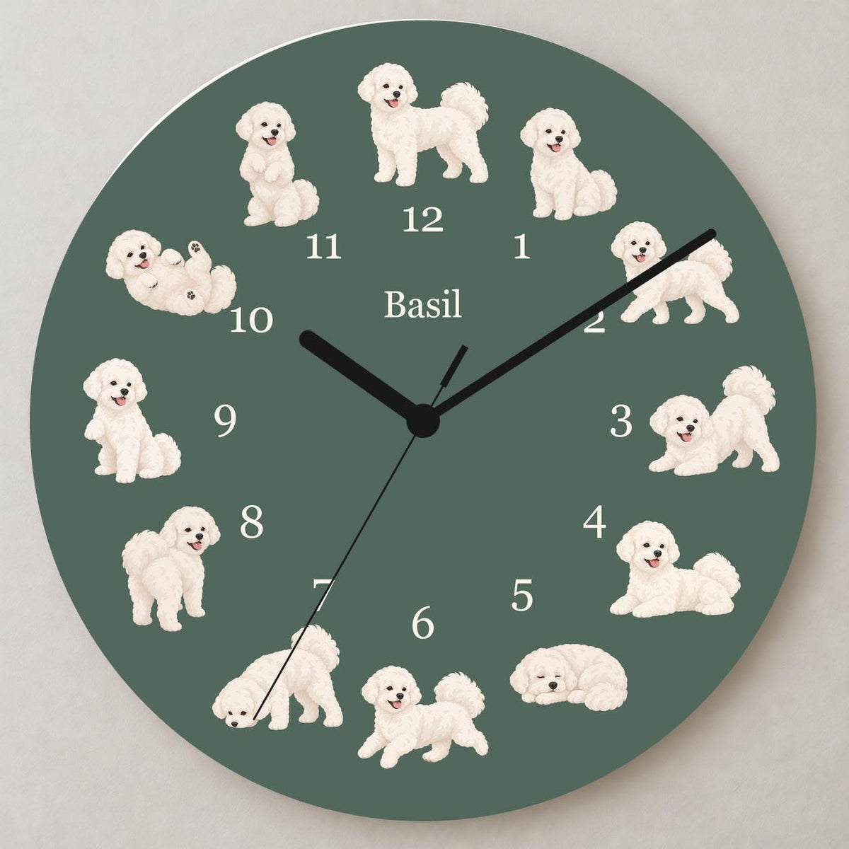 Personalized Bichon Frise wooden wall clock with example name Basil; close up