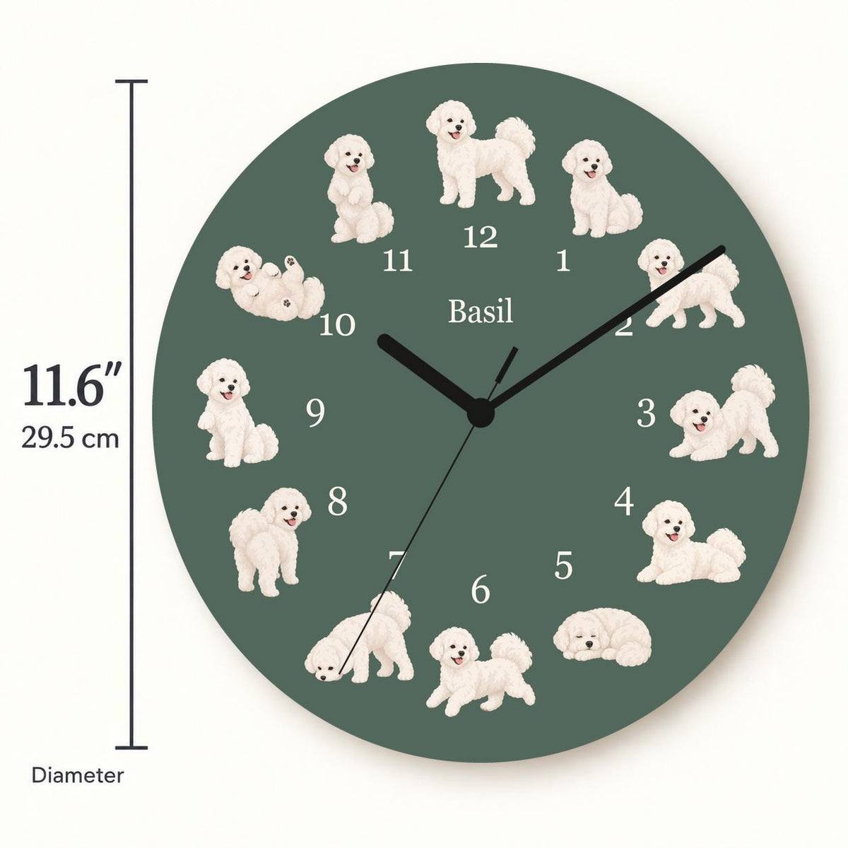 Personalized Bichon Frise wooden wall clock with example name Basil; size
