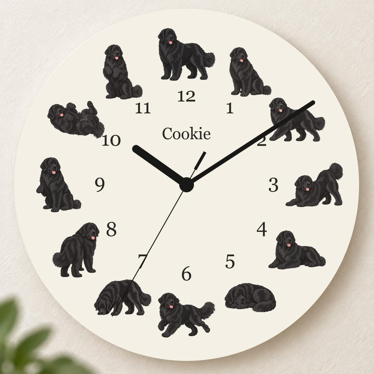 Personalized Newfoundland wooden wall clock with example name Cookie; hero