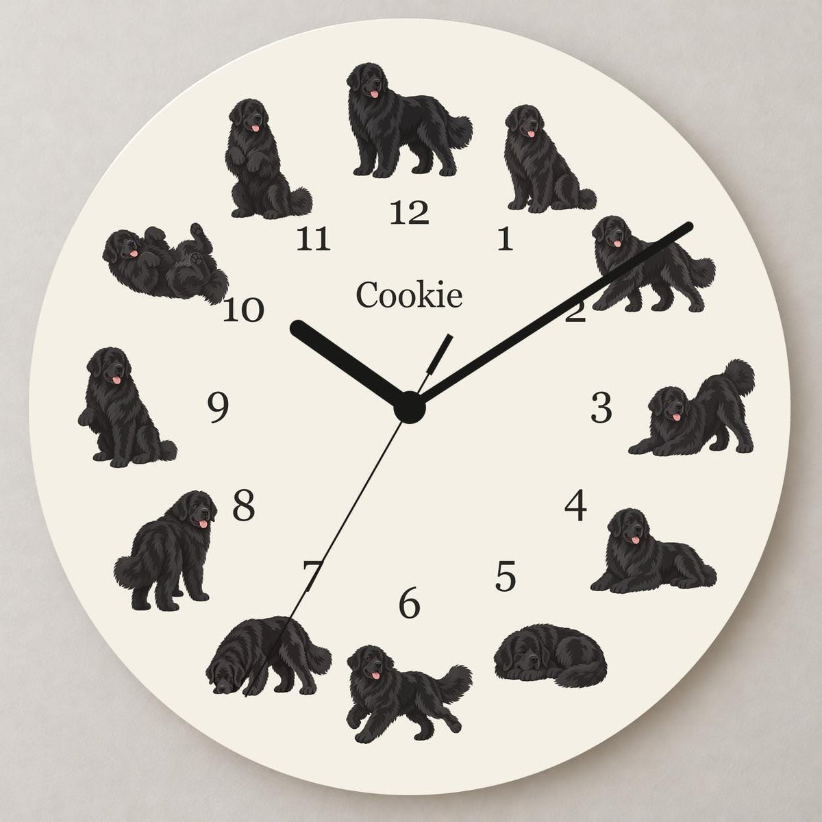 Personalized Newfoundland wooden wall clock with example name Cookie; close up