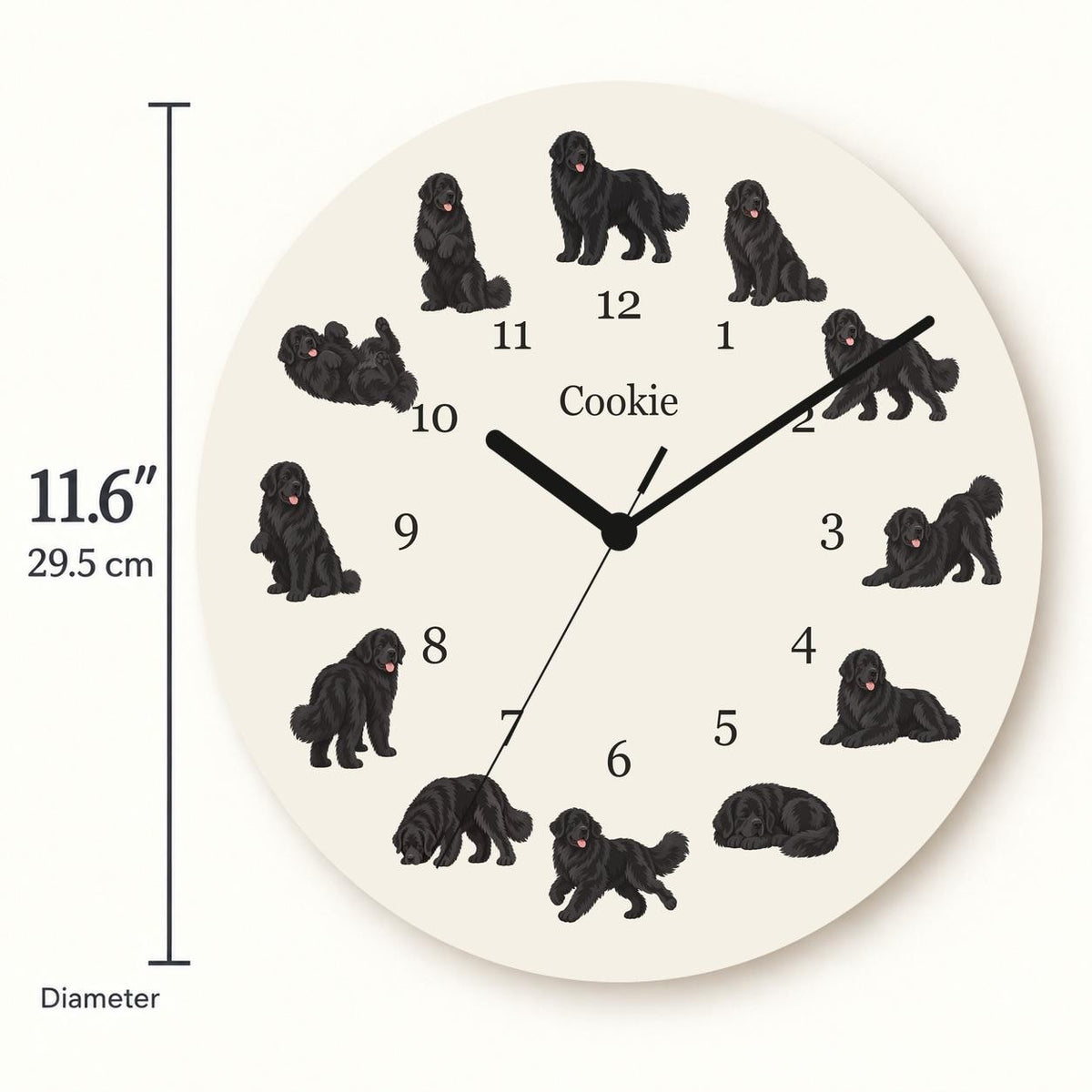 Personalized Newfoundland wooden wall clock with example name Cookie; size