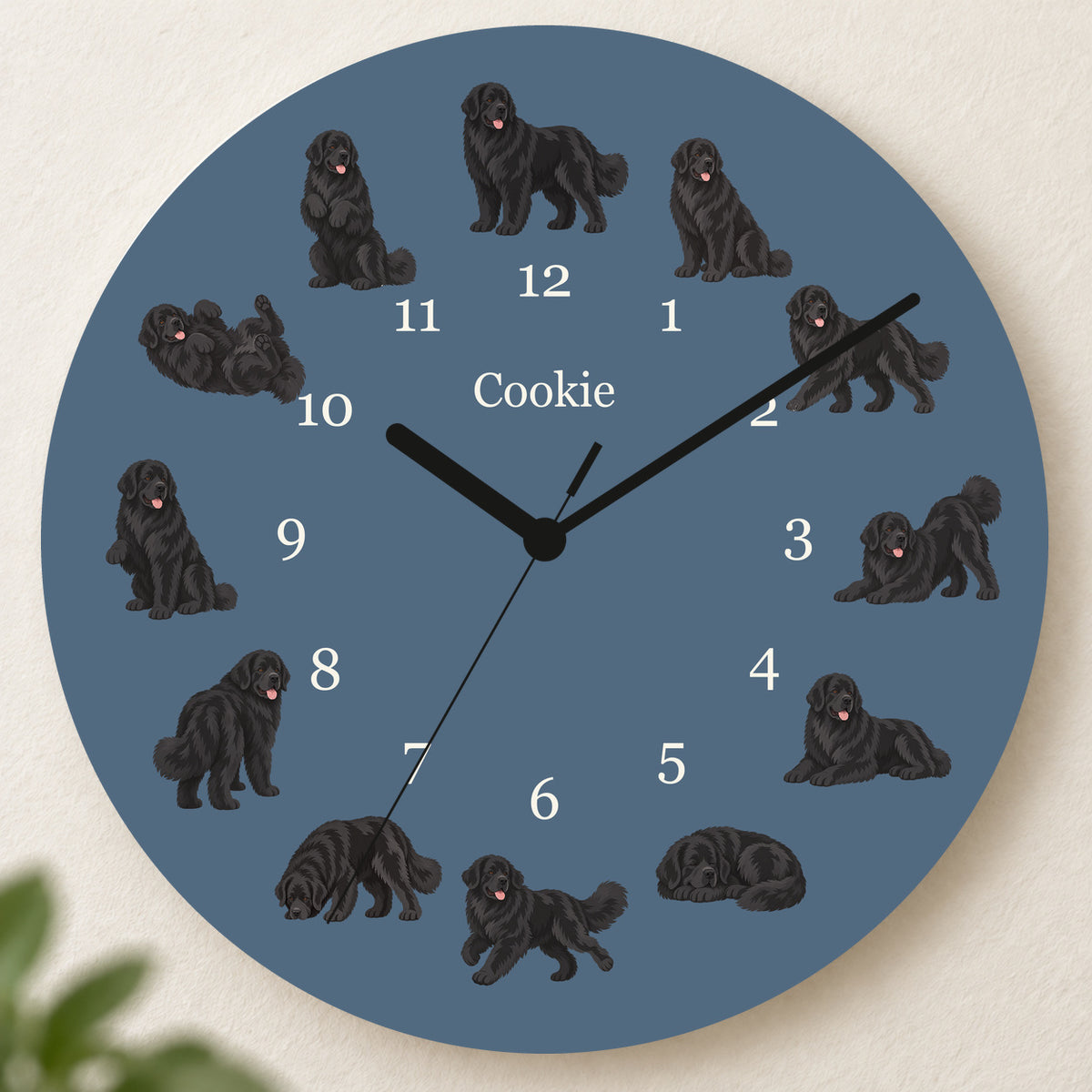 Personalized Newfoundland Wall Clock, Custom Pet Name, 11.6 Inch Wooden Clock — Muted Denim background