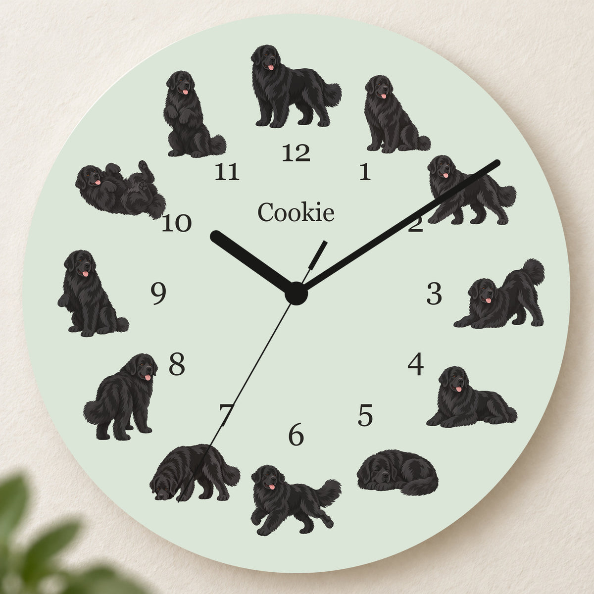 Personalized Newfoundland Wall Clock, Custom Pet Name, 11.6 Inch Wooden Clock — Pale Sage background