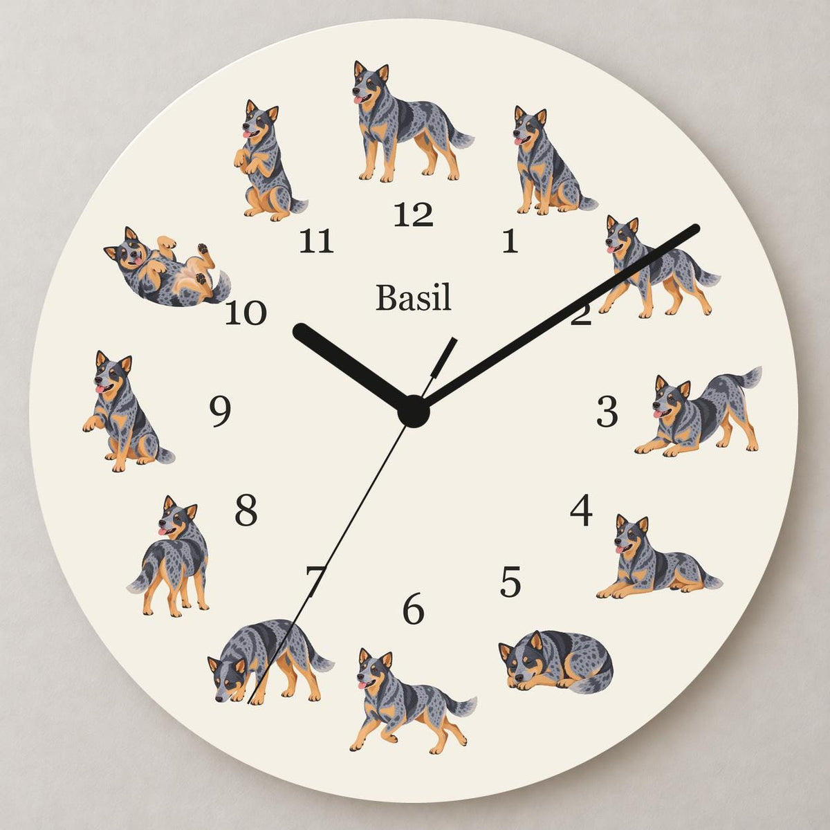 Personalized Australian Cattle Dog wooden wall clock with example name Basil; close up