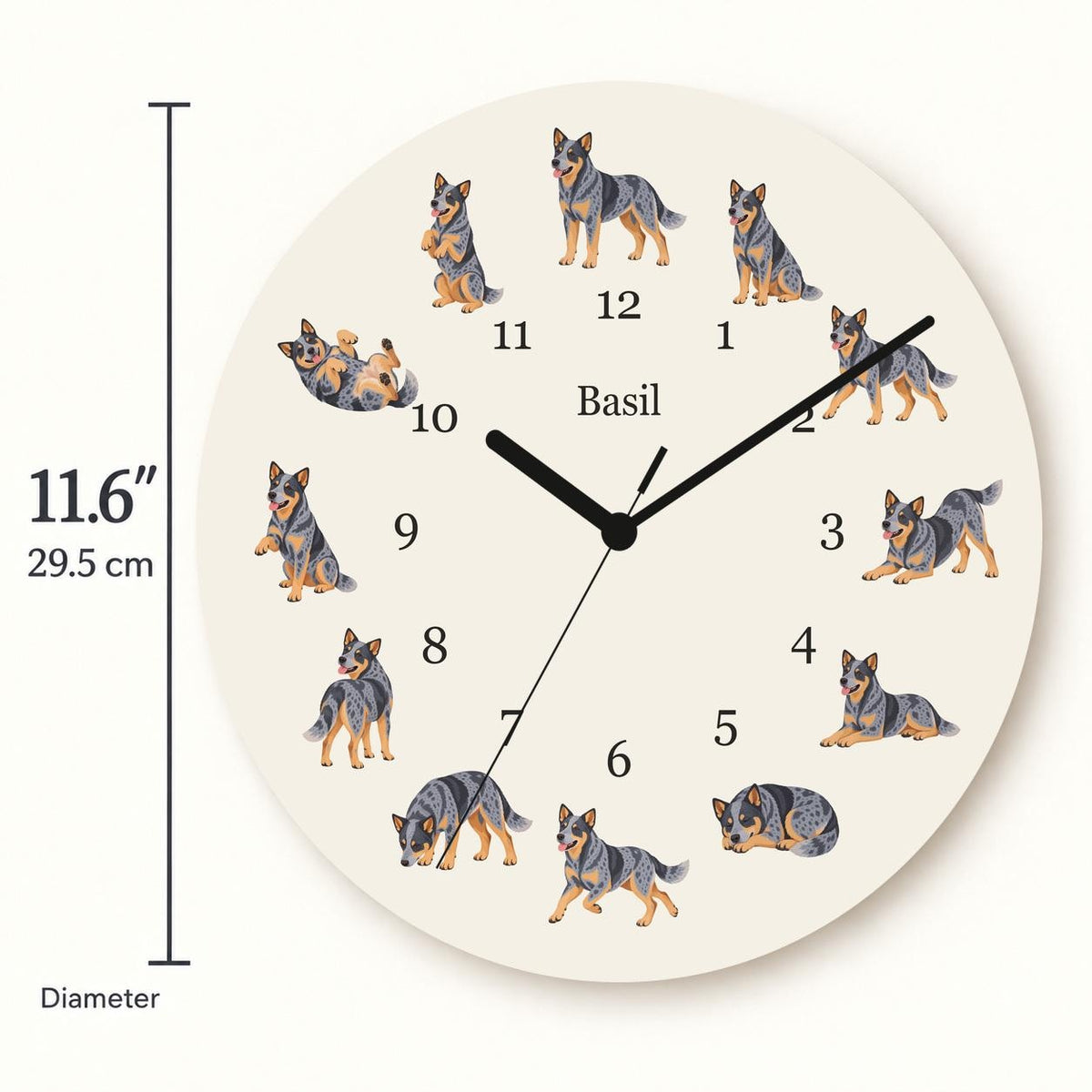 Personalized Australian Cattle Dog wooden wall clock with example name Basil; size