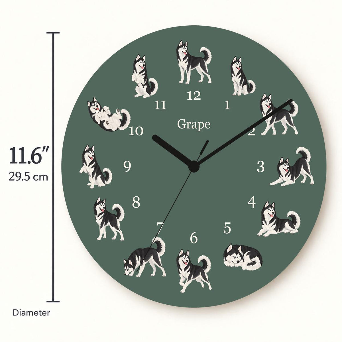 Personalized Siberian Husky Black and White wooden wall clock with example name Grape; size