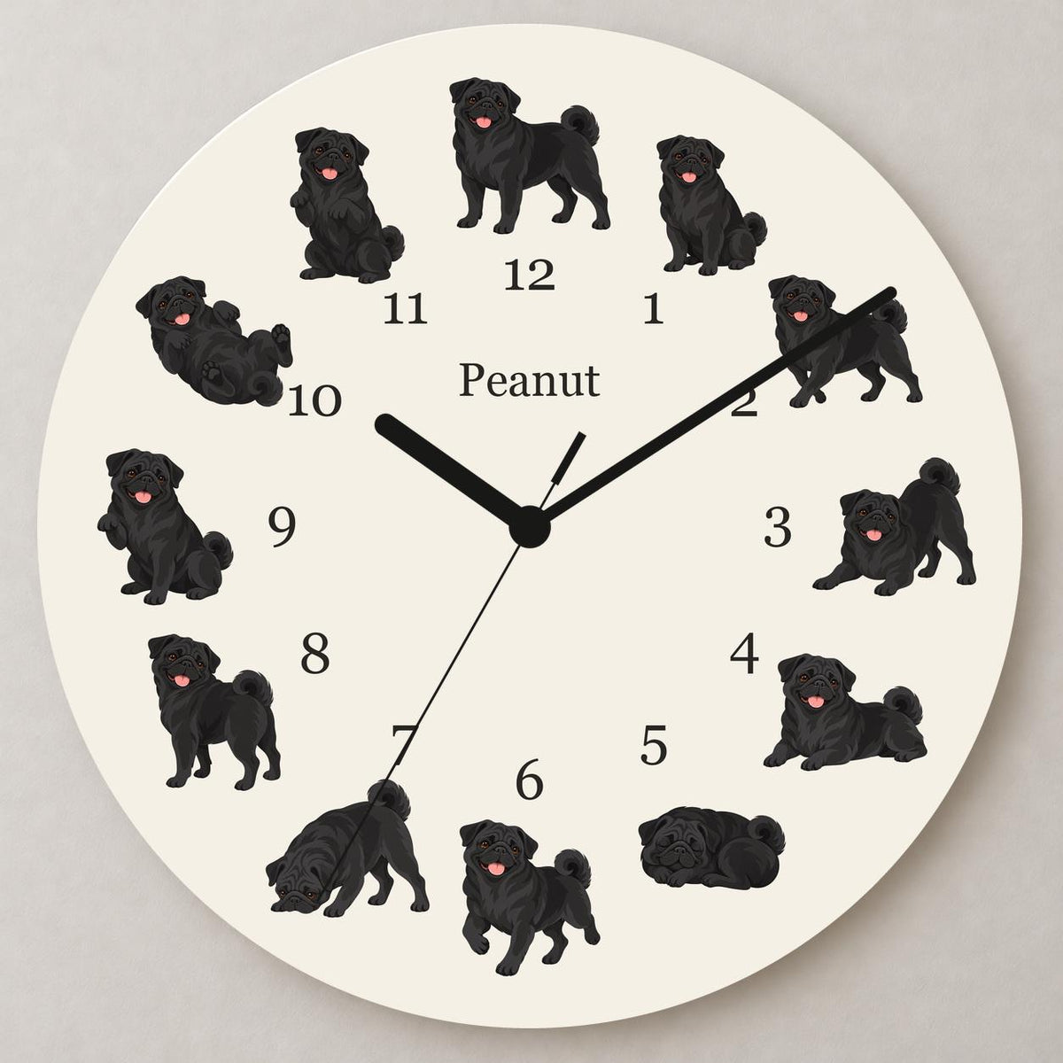 Personalized Pug Black wooden wall clock with example name Peanut; close up