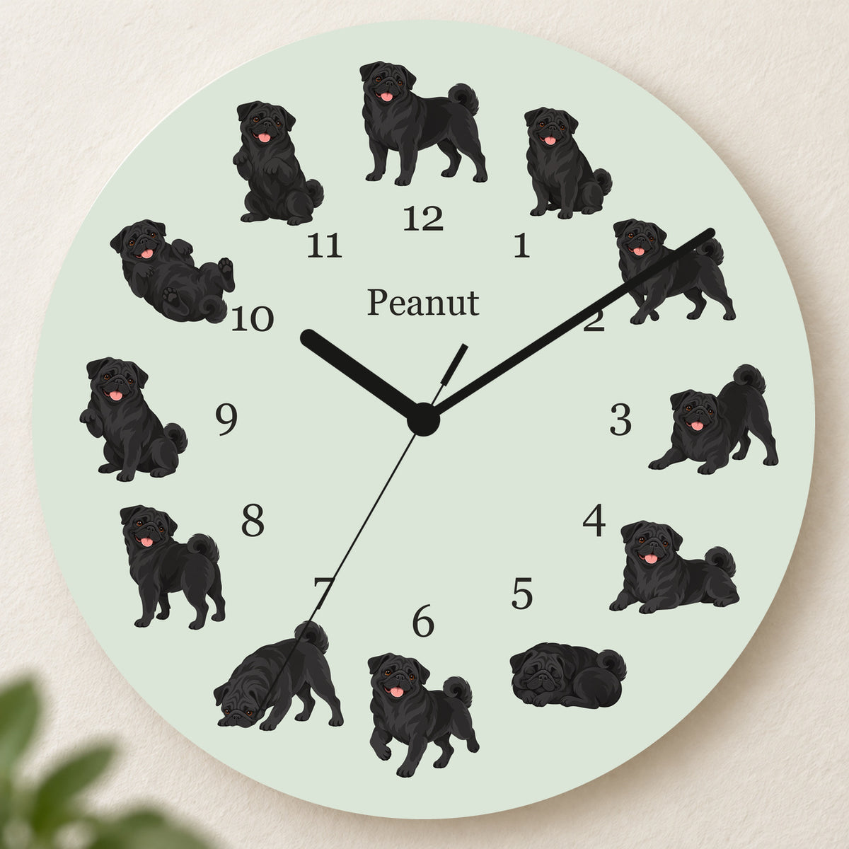 Personalized Pug Black Wall Clock, Custom Pet Name, 11.6 Inch Wooden Clock — Pale Sage background