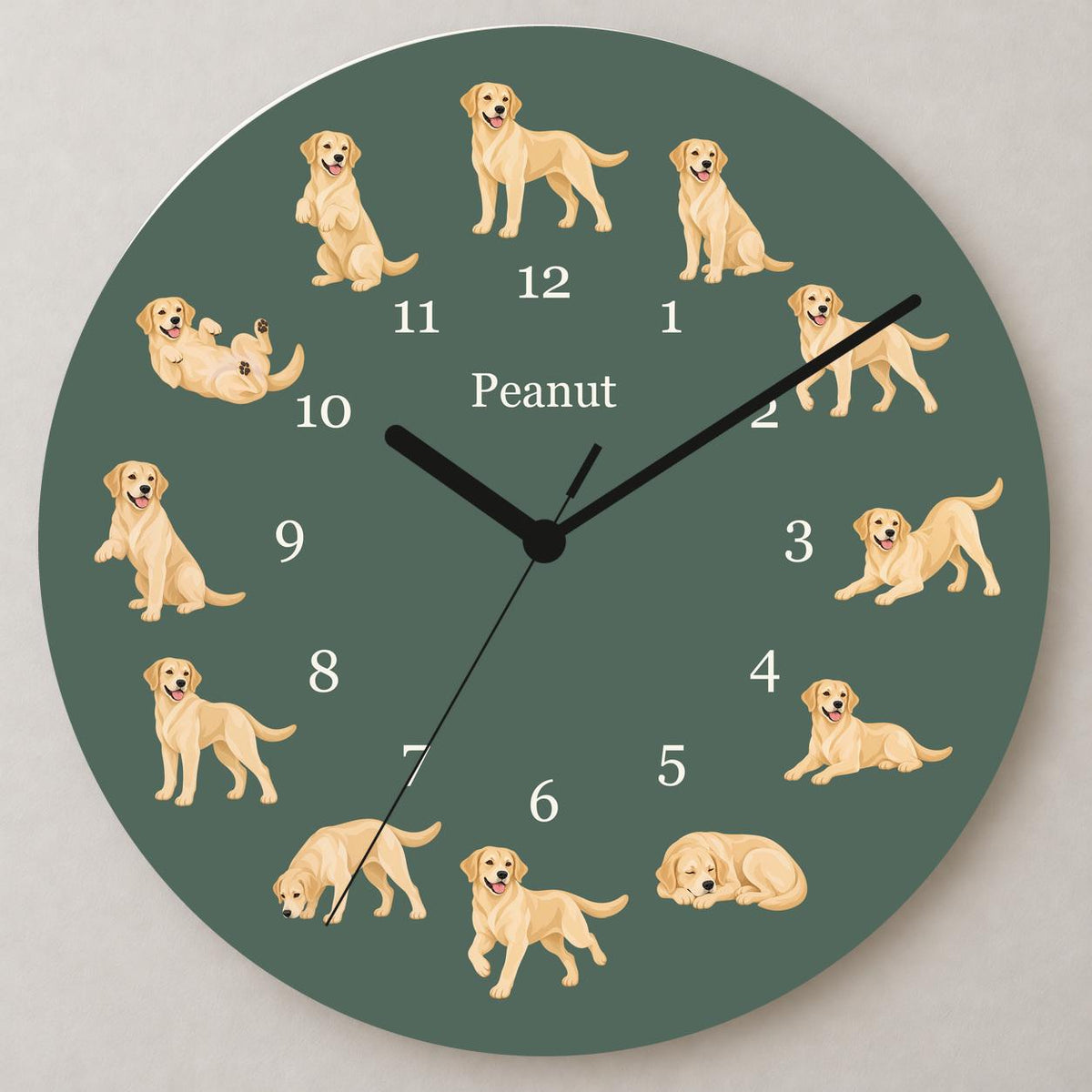 Personalized Labrador Retriever Yellow wooden wall clock with example name Peanut; close up