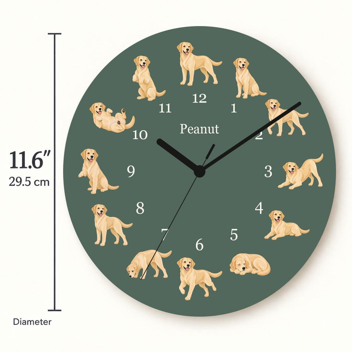 Personalized Labrador Retriever Yellow wooden wall clock with example name Peanut; size