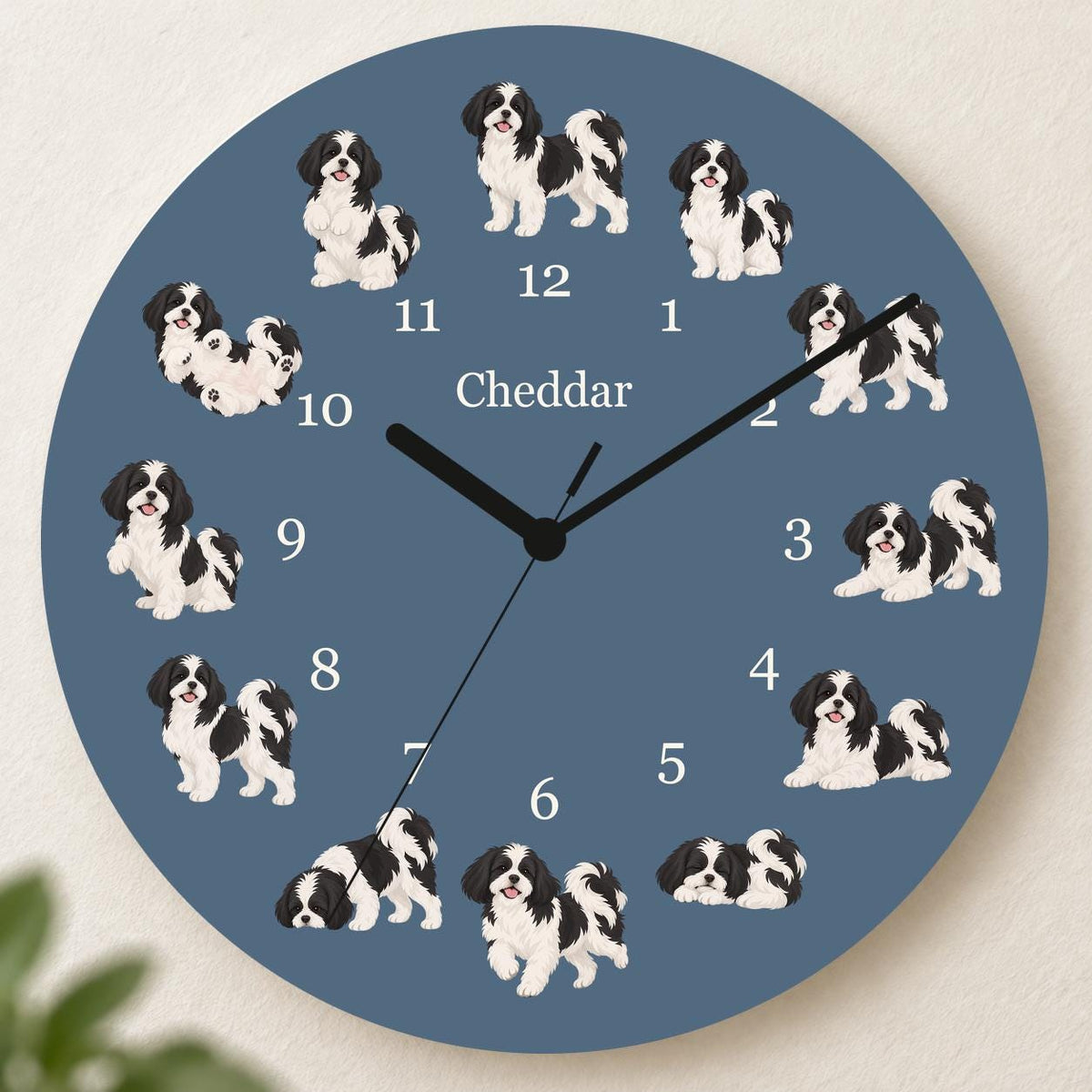 Personalized Shih Tzu Black and White wooden wall clock with example name Cheddar; hero