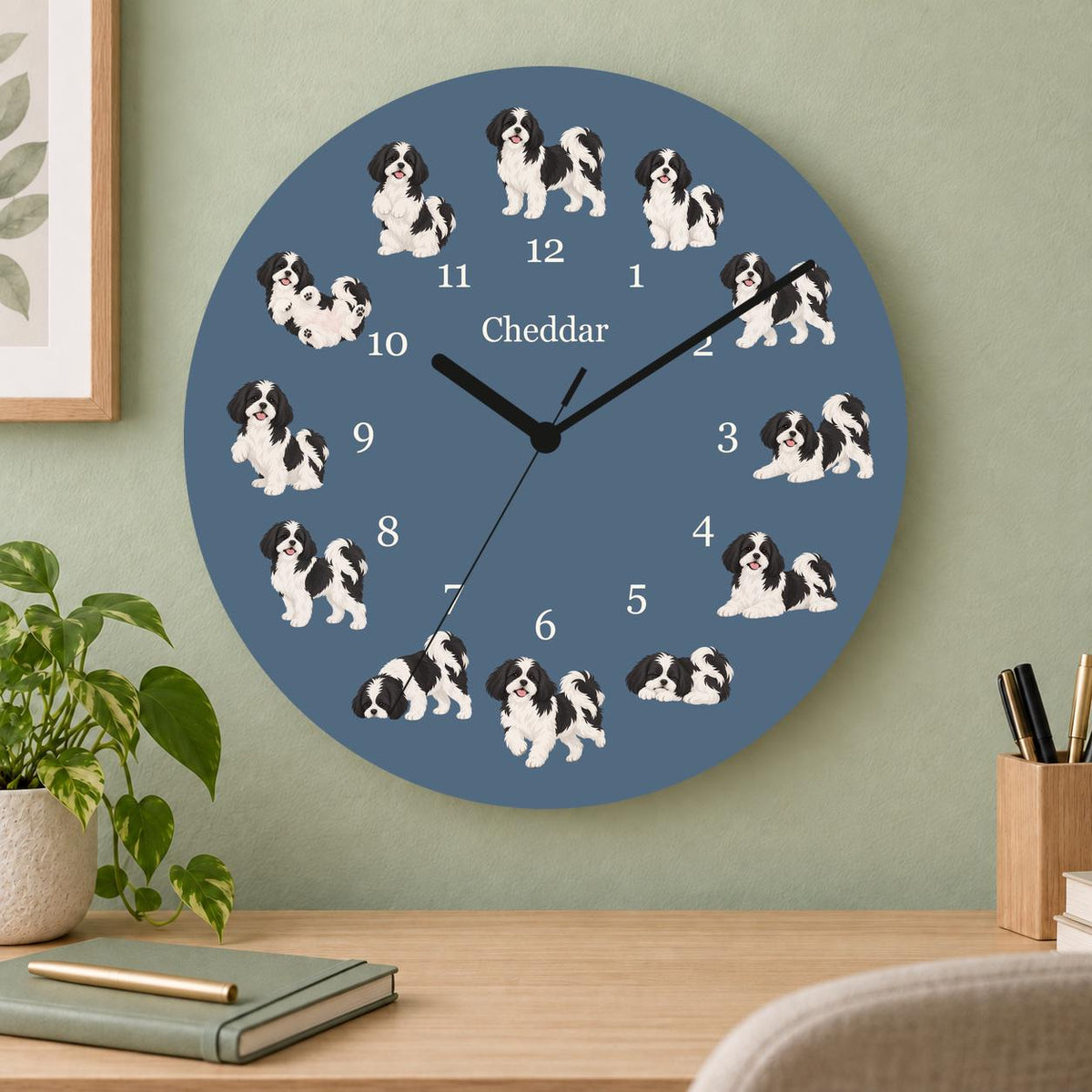 Personalized Shih Tzu Black and White wooden wall clock with example name Cheddar; home office